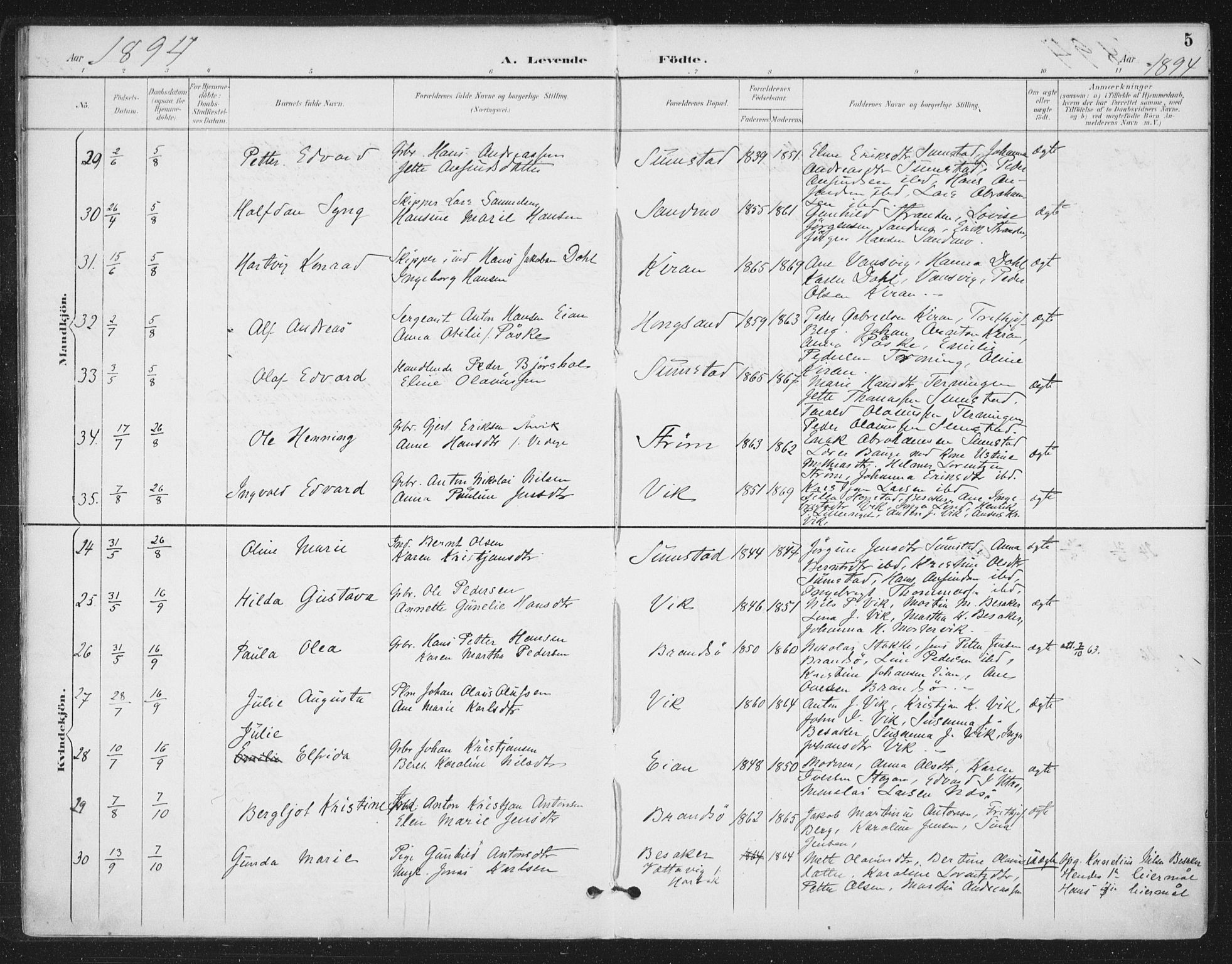 Ministerialprotokoller, klokkerbøker og fødselsregistre - Sør-Trøndelag, AV/SAT-A-1456/657/L0708: Parish register (official) no. 657A09, 1894-1904, p. 5