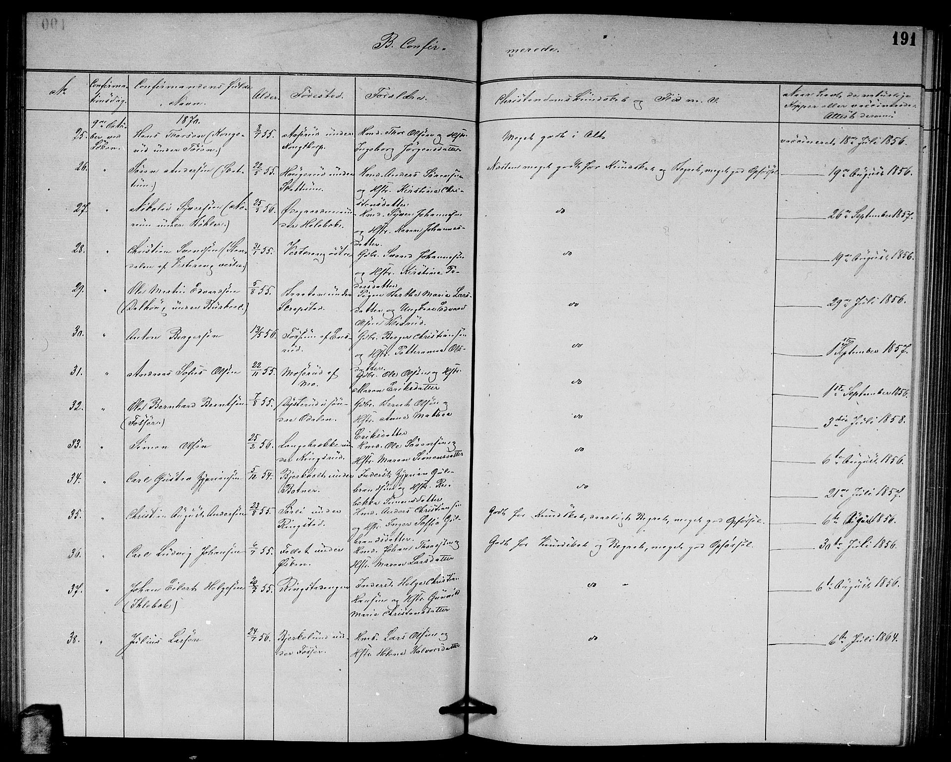 Høland prestekontor Kirkebøker, AV/SAO-A-10346a/G/Ga/L0006: Parish register (copy) no. I 6, 1869-1879, p. 191