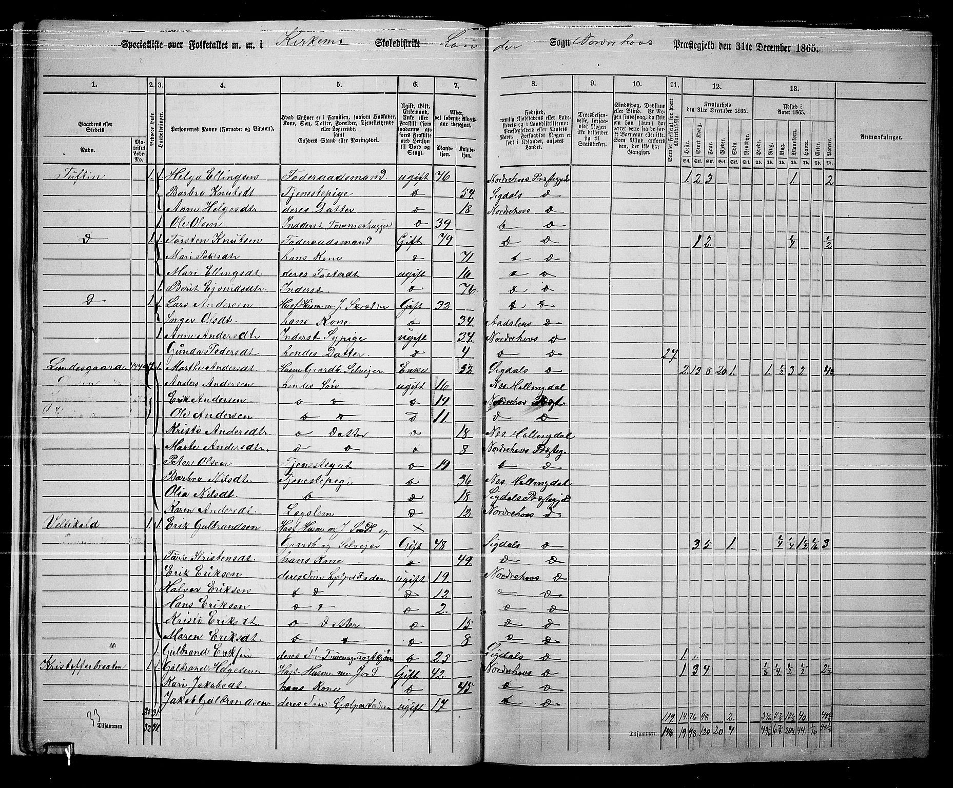 RA, 1865 census for Norderhov/Norderhov, Haug og Lunder, 1865, p. 33