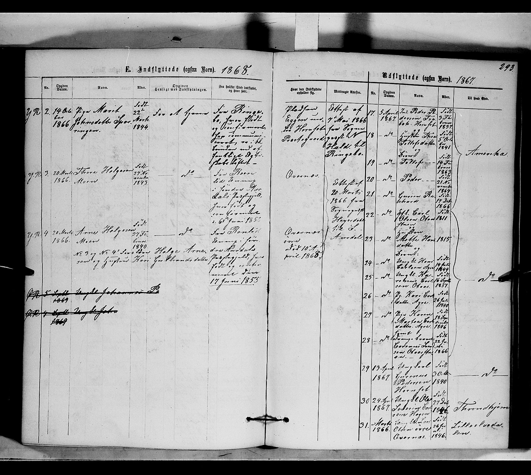 Rendalen prestekontor, AV/SAH-PREST-054/H/Ha/Haa/L0006: Parish register (official) no. 6, 1867-1877, p. 293