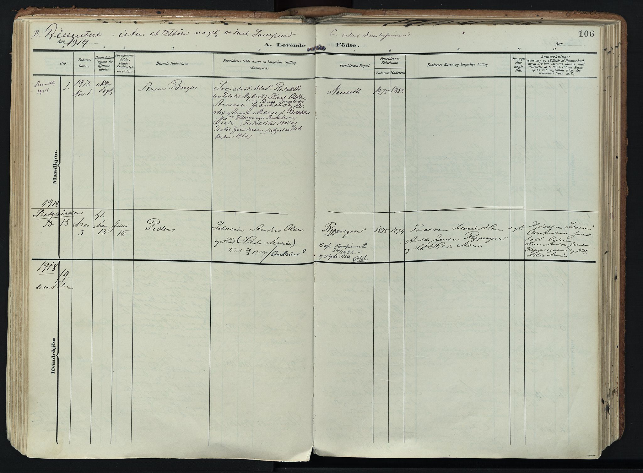 Hedrum kirkebøker, SAKO/A-344/F/Fa/L0010: Parish register (official) no. I 10, 1904-1918, p. 106