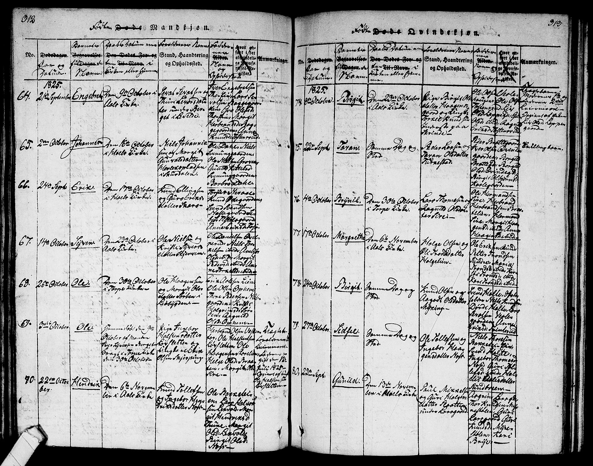 Ål kirkebøker, AV/SAKO-A-249/G/Ga/L0001: Parish register (copy) no. 1, 1815-1829, p. 312-313