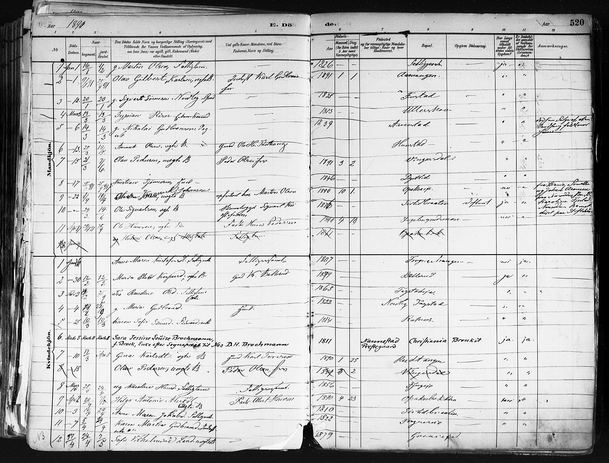 Nes prestekontor Kirkebøker, SAO/A-10410/F/Fa/L0010: Parish register (official) no. I 10, 1883-1898, p. 520
