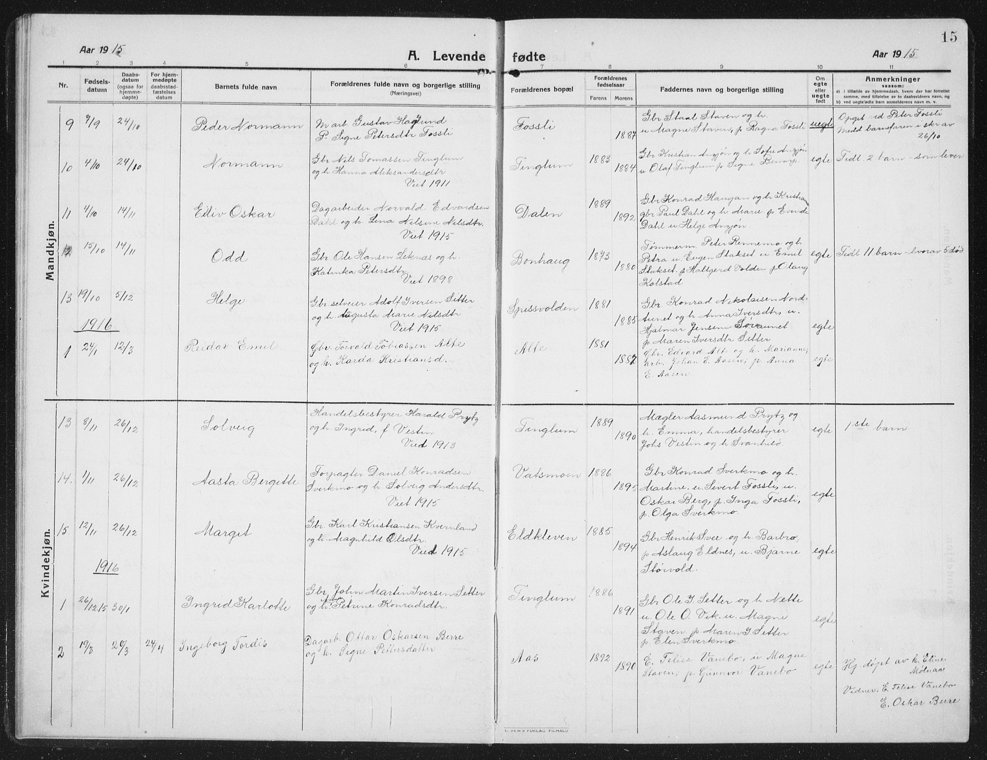 Ministerialprotokoller, klokkerbøker og fødselsregistre - Nord-Trøndelag, AV/SAT-A-1458/742/L0413: Parish register (copy) no. 742C04, 1911-1938, p. 15