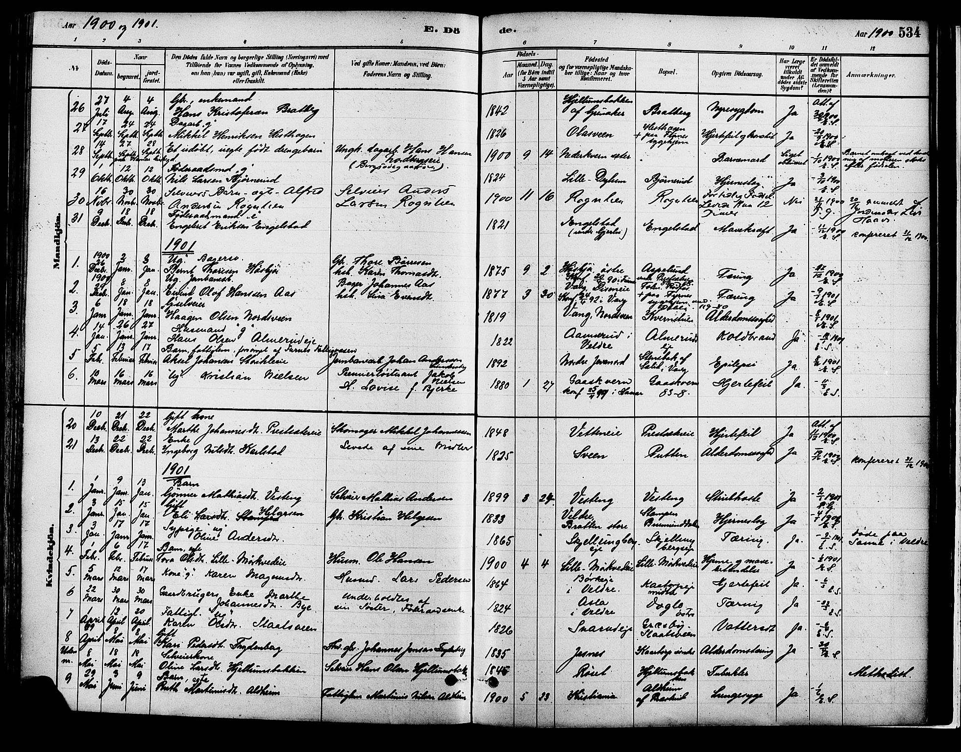 Vang prestekontor, Hedmark, SAH/PREST-008/H/Ha/Haa/L0018B: Parish register (official) no. 18B, 1880-1906, p. 534