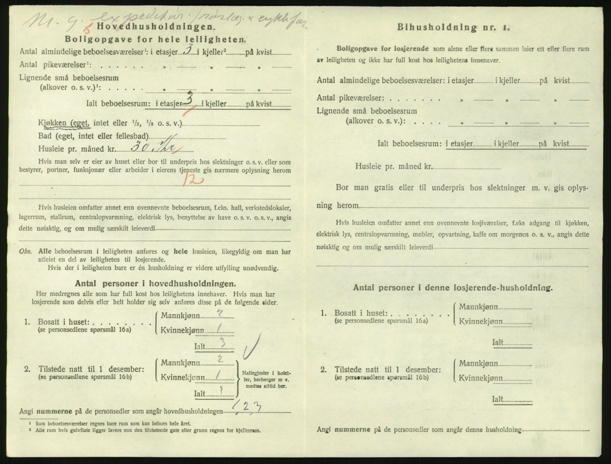 SAKO, 1920 census for Larvik, 1920, p. 4849