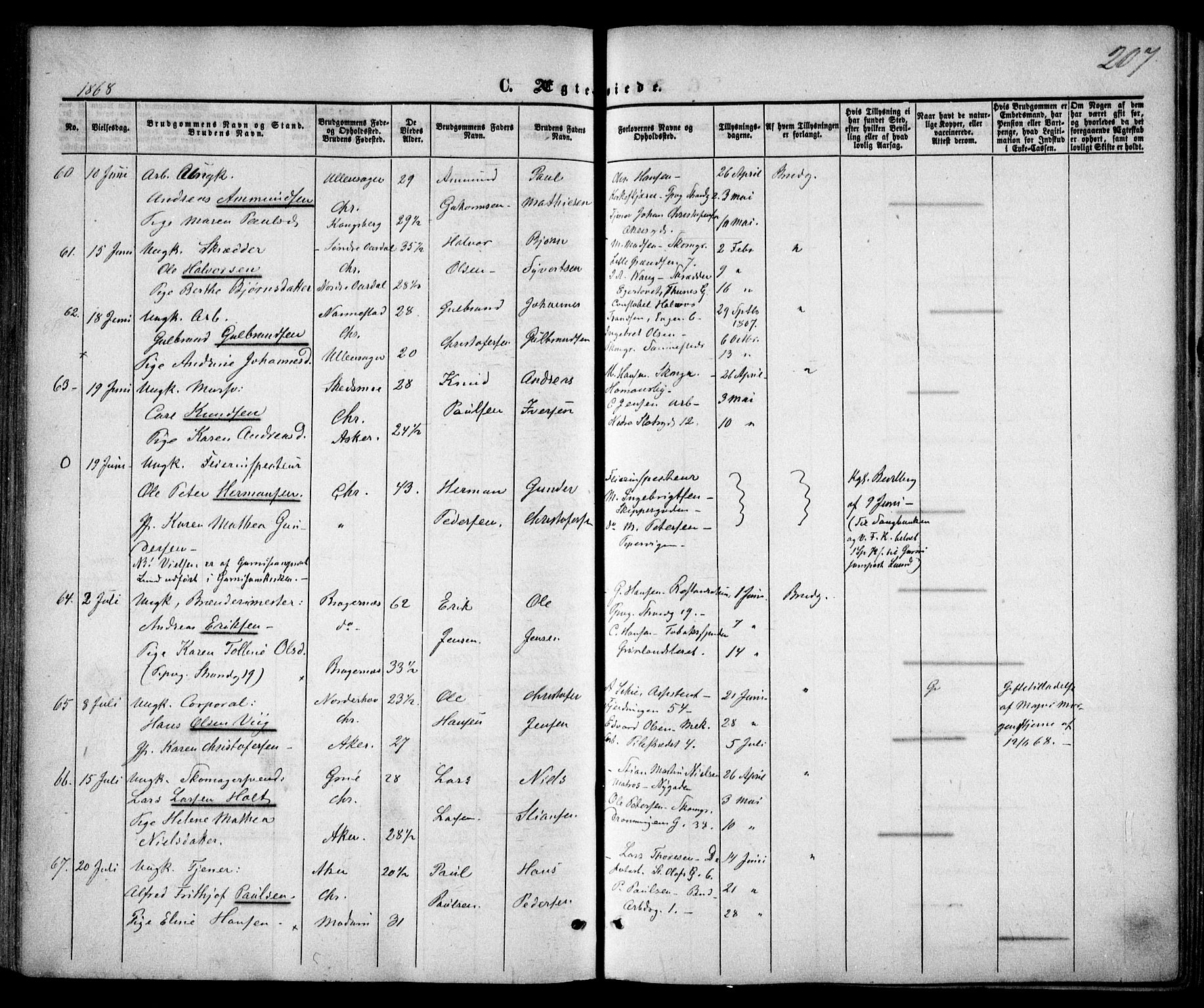 Trefoldighet prestekontor Kirkebøker, AV/SAO-A-10882/F/Fc/L0001: Parish register (official) no. III 1, 1858-1874, p. 207