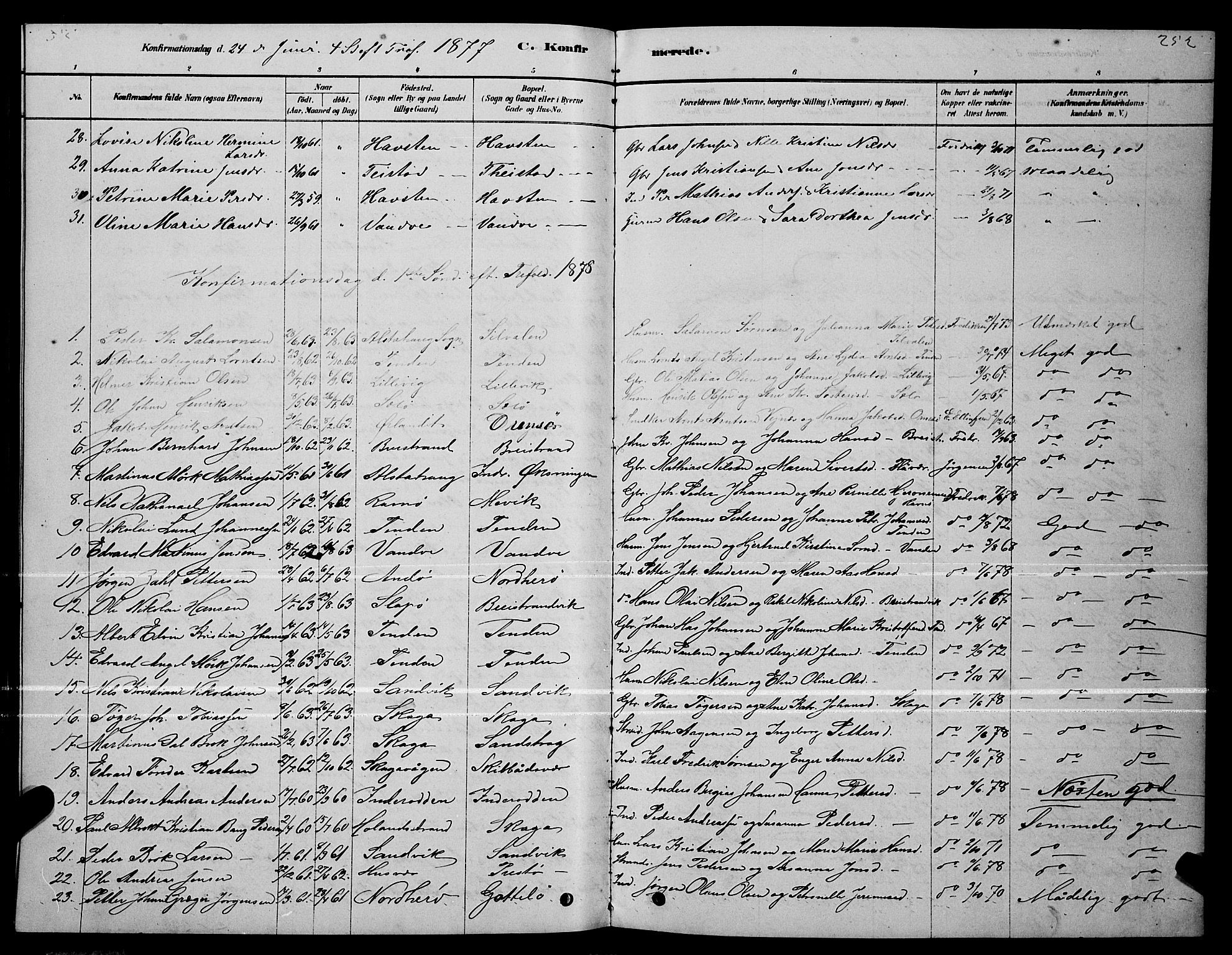 Ministerialprotokoller, klokkerbøker og fødselsregistre - Nordland, AV/SAT-A-1459/834/L0513: Parish register (copy) no. 834C04, 1877-1892, p. 252