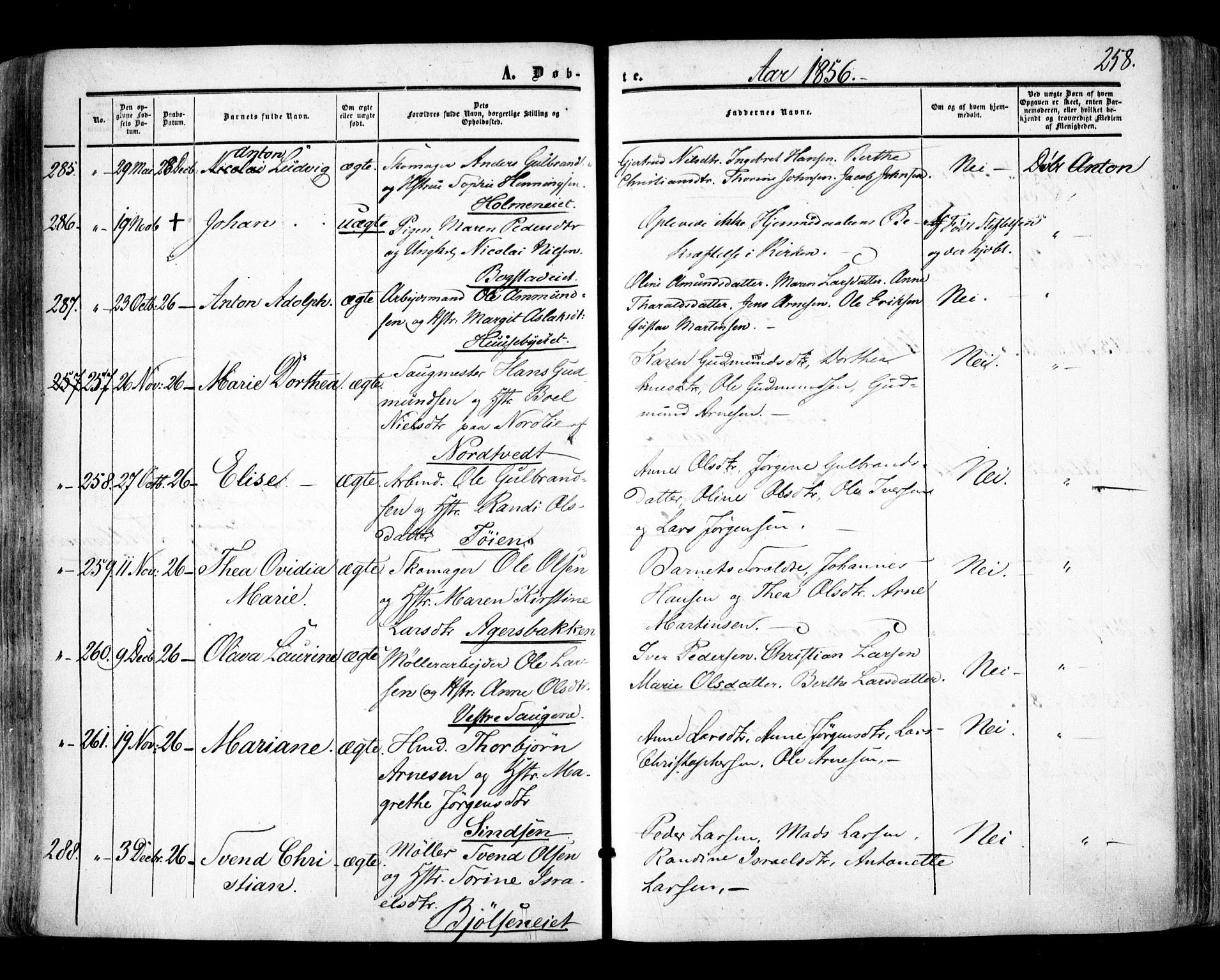 Aker prestekontor kirkebøker, AV/SAO-A-10861/F/L0020: Parish register (official) no. 20, 1853-1857, p. 258