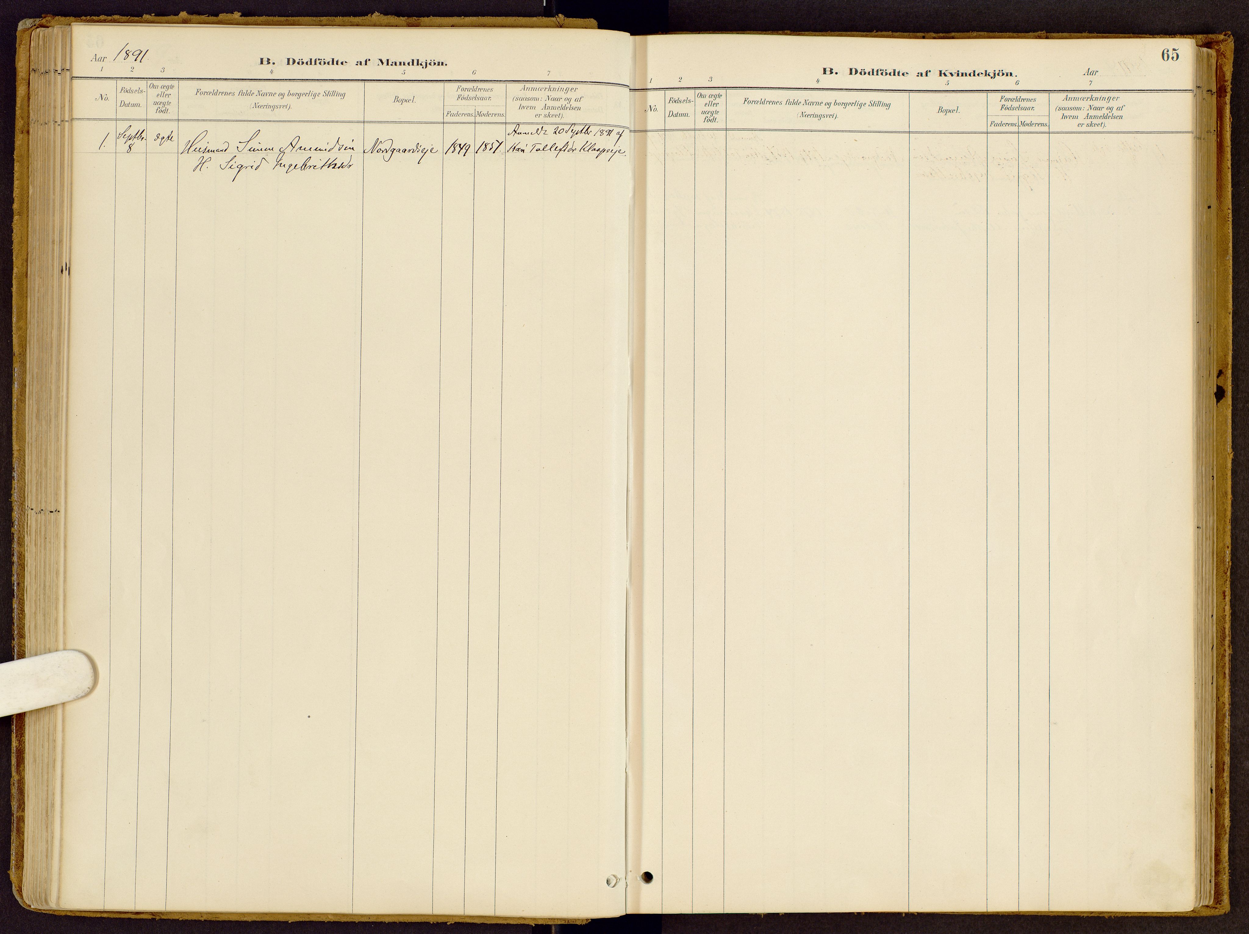 Vestre Gausdal prestekontor, SAH/PREST-094/H/Ha/Haa/L0002: Parish register (official) no. 2, 1887-1918, p. 65