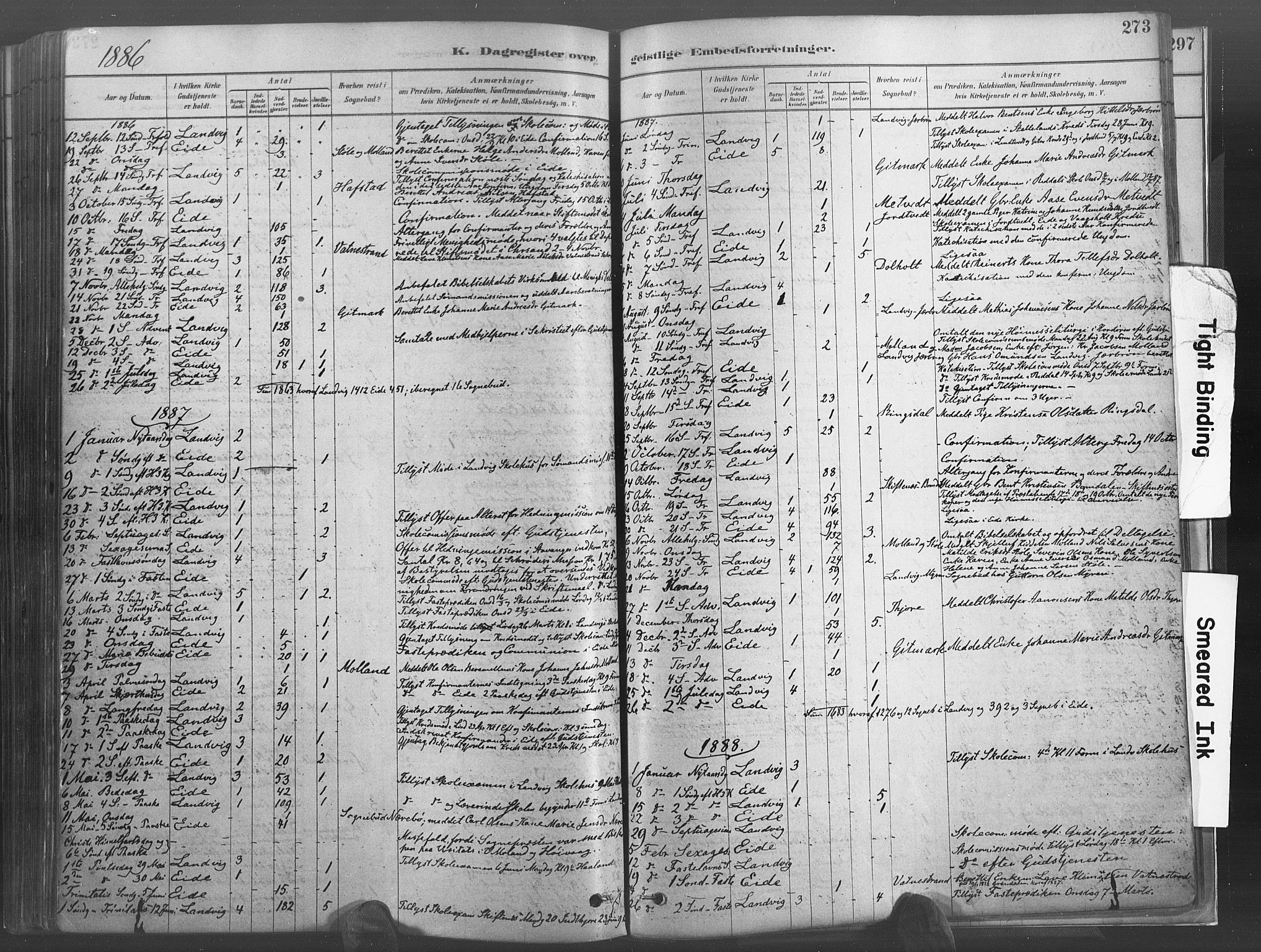 Hommedal sokneprestkontor, SAK/1111-0023/F/Fa/Fab/L0006: Parish register (official) no. A 6, 1878-1897, p. 273