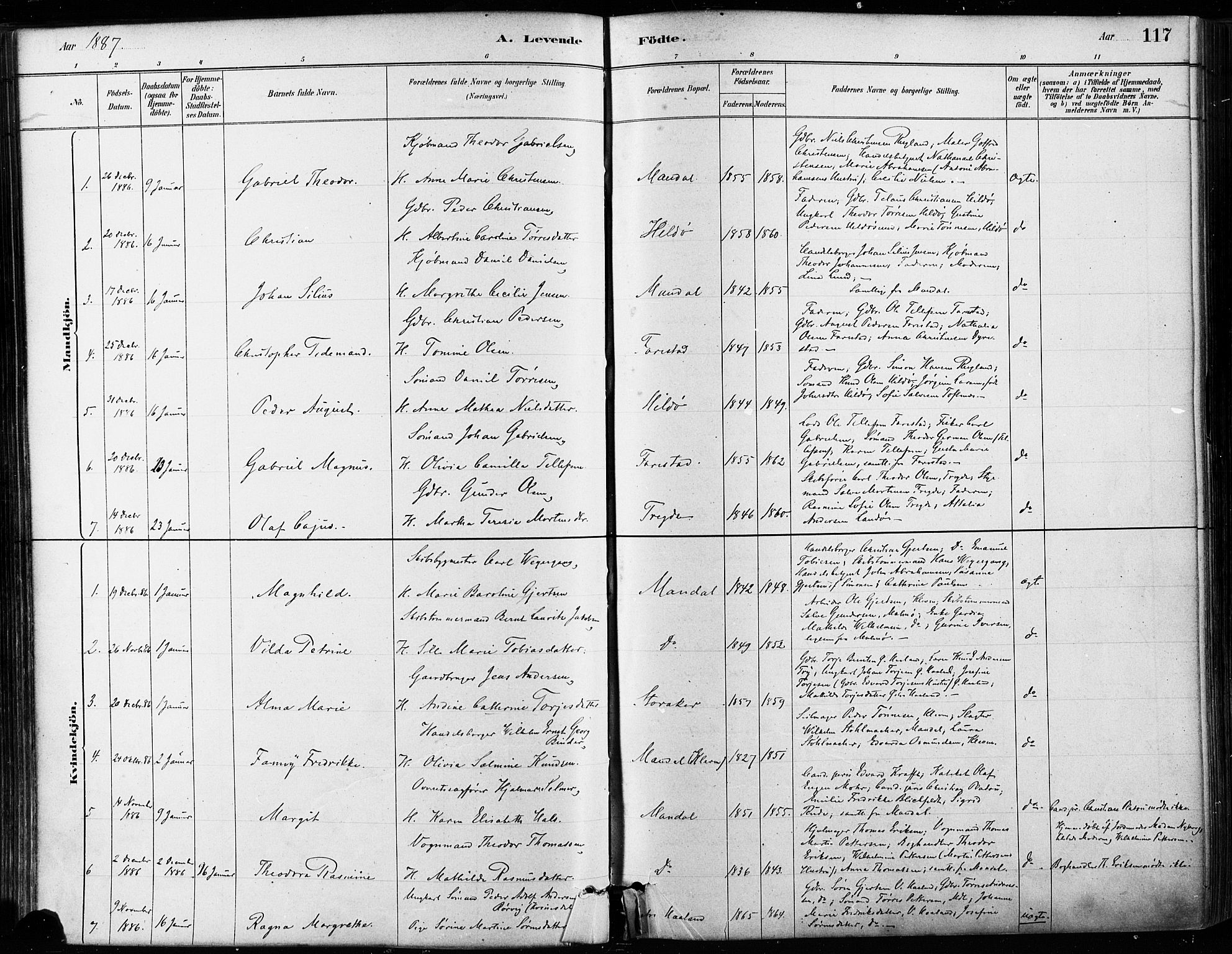 Mandal sokneprestkontor, SAK/1111-0030/F/Fa/Faa/L0016: Parish register (official) no. A 16, 1880-1890, p. 117