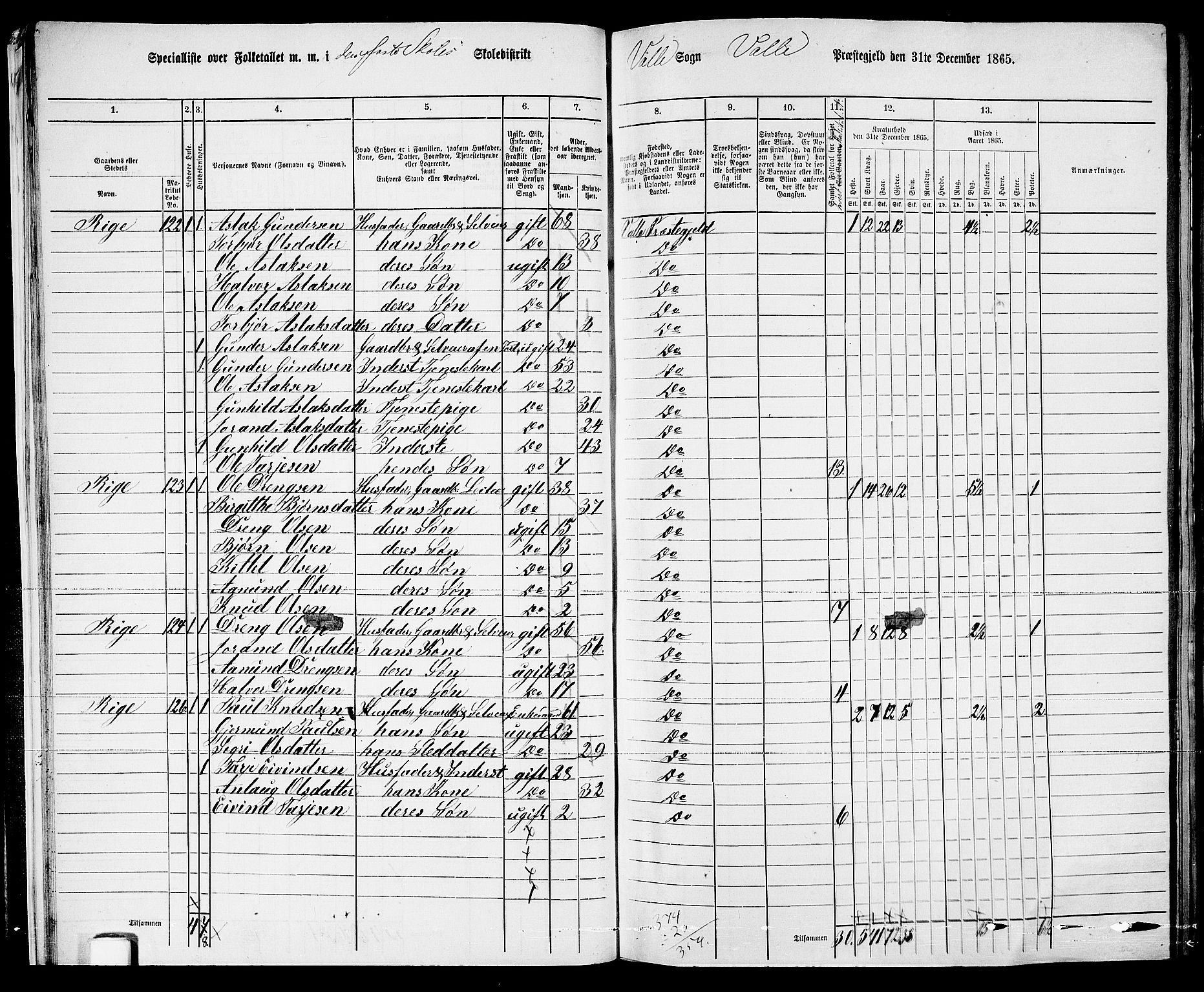 RA, 1865 census for Valle, 1865, p. 21