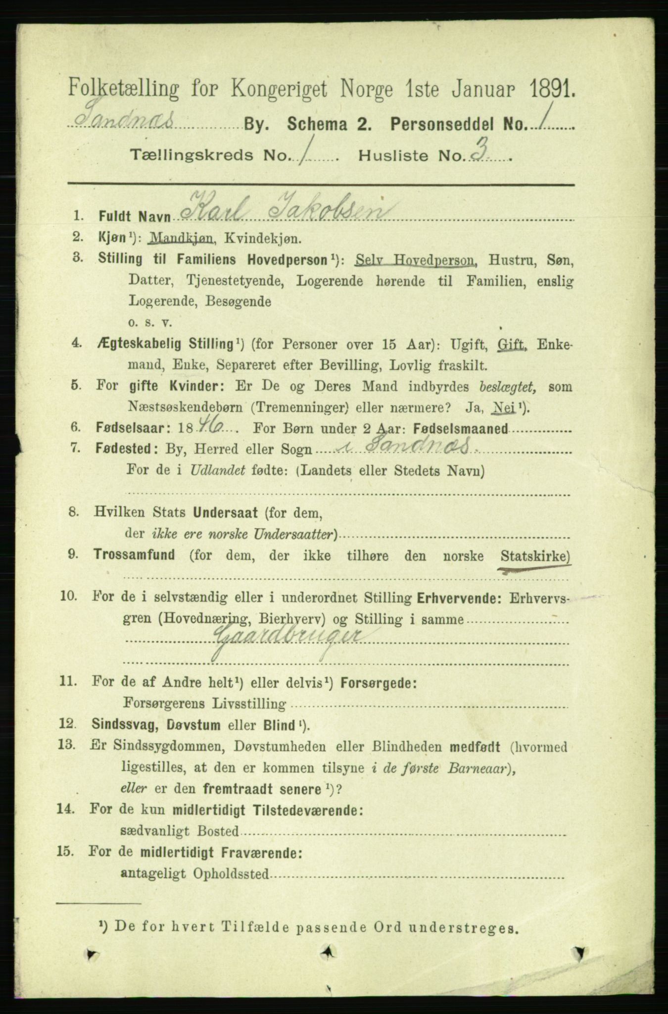 RA, 1891 census for 1102 Sandnes, 1891, p. 493