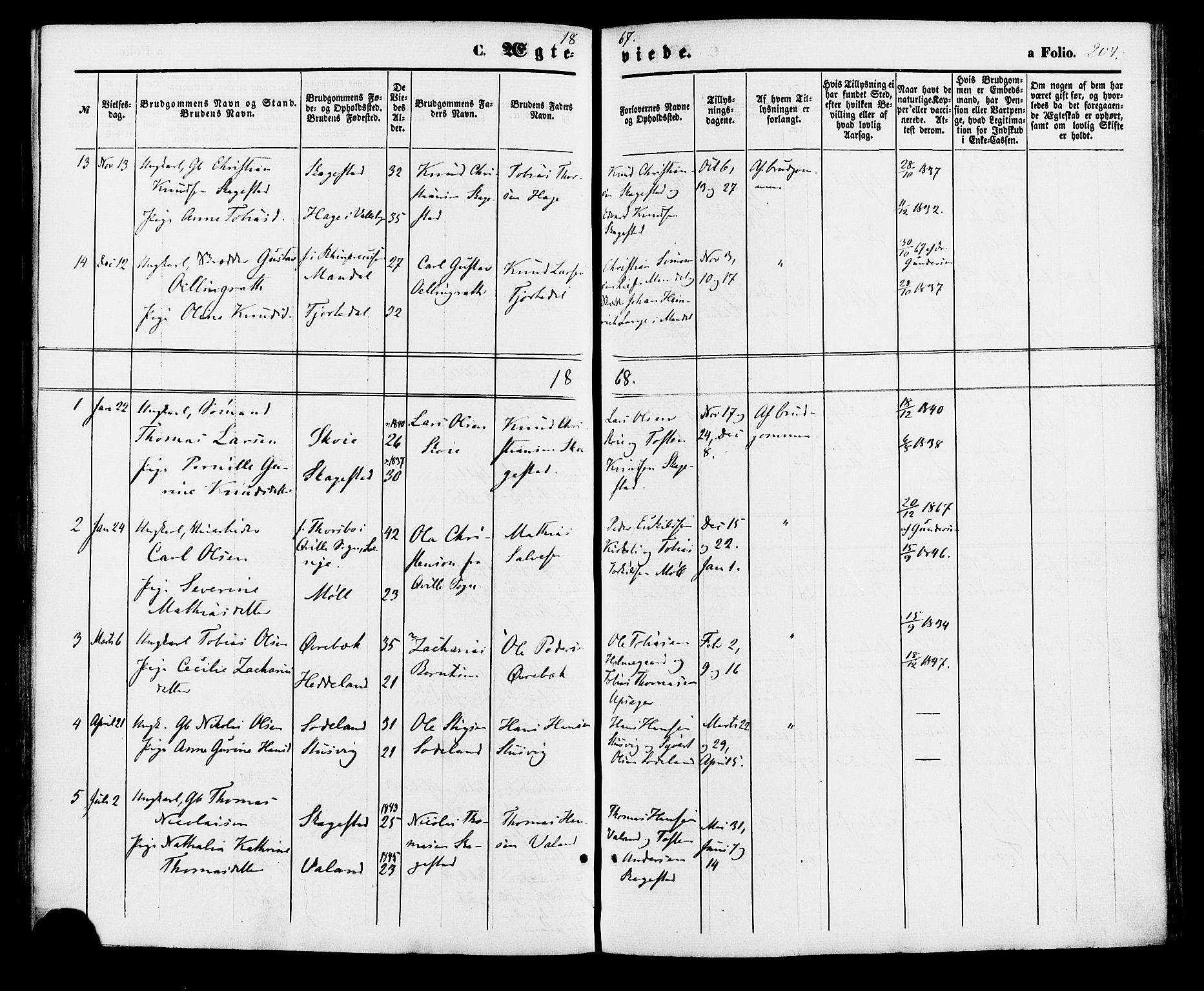 Holum sokneprestkontor, AV/SAK-1111-0022/F/Fa/Faa/L0006: Parish register (official) no. A 6, 1865-1883, p. 204