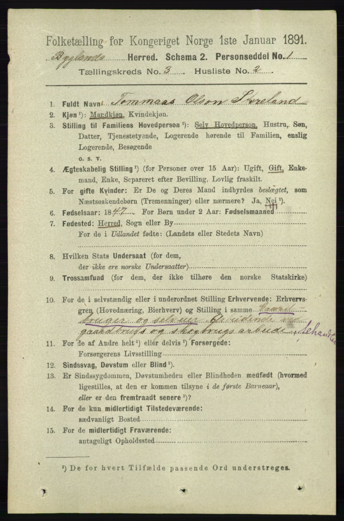 RA, 1891 census for 0938 Bygland, 1891, p. 573