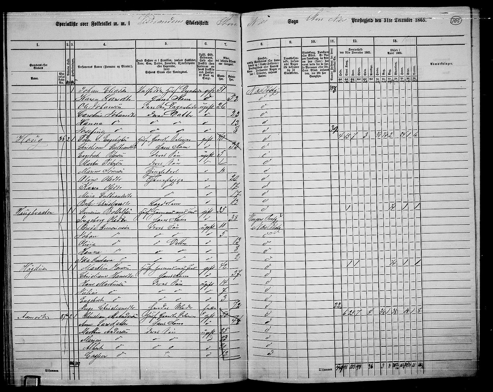 RA, 1865 census for Nes, 1865, p. 97