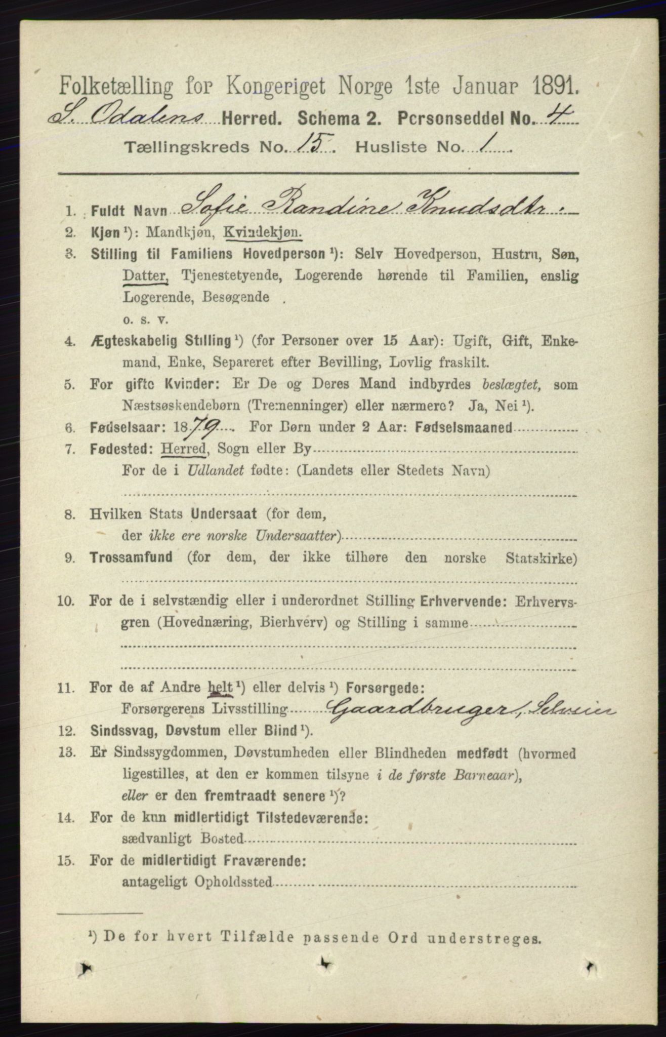 RA, 1891 census for 0419 Sør-Odal, 1891, p. 6576