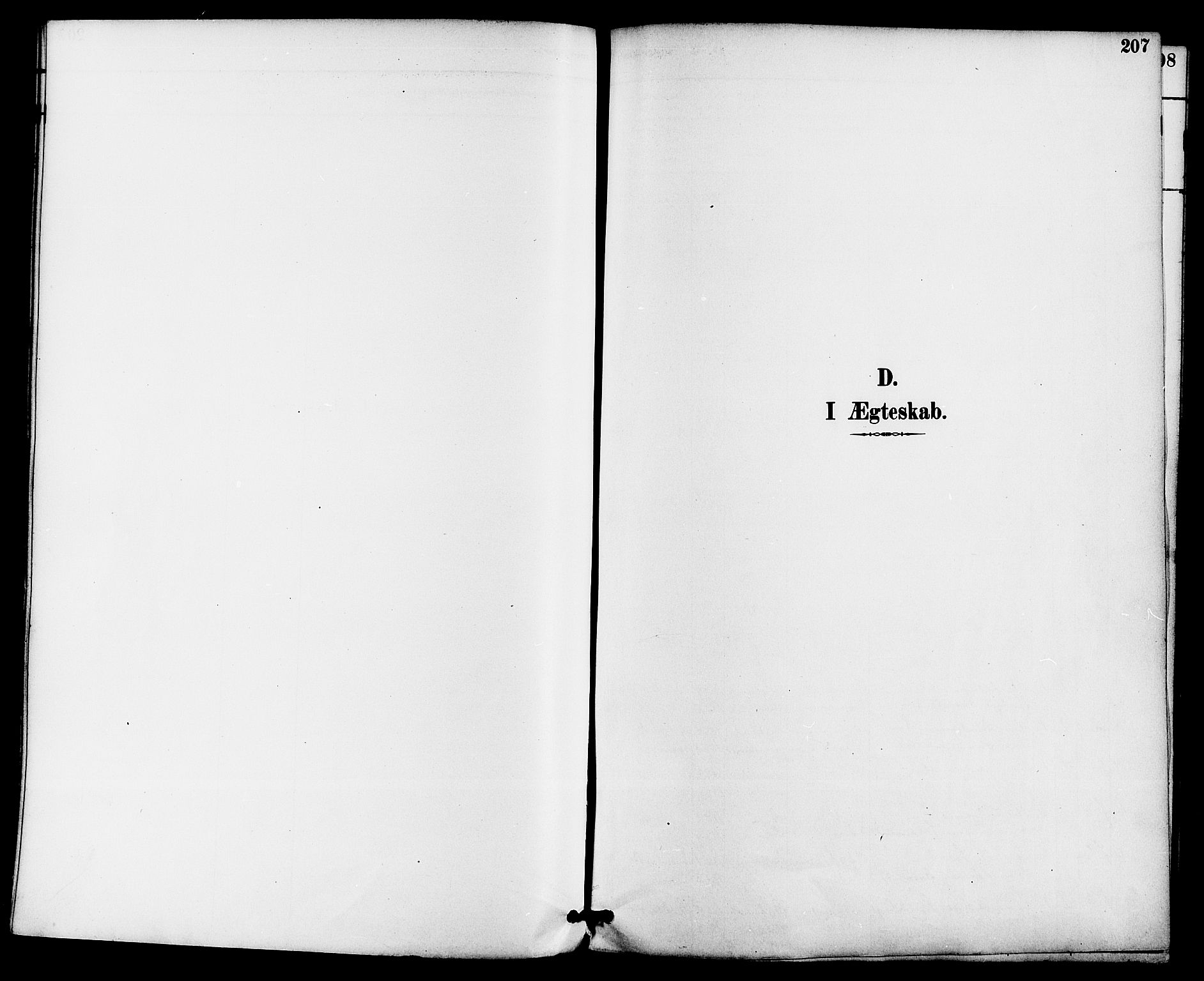 Gjerpen kirkebøker, SAKO/A-265/F/Fa/L0010: Parish register (official) no. I 10, 1886-1895, p. 207