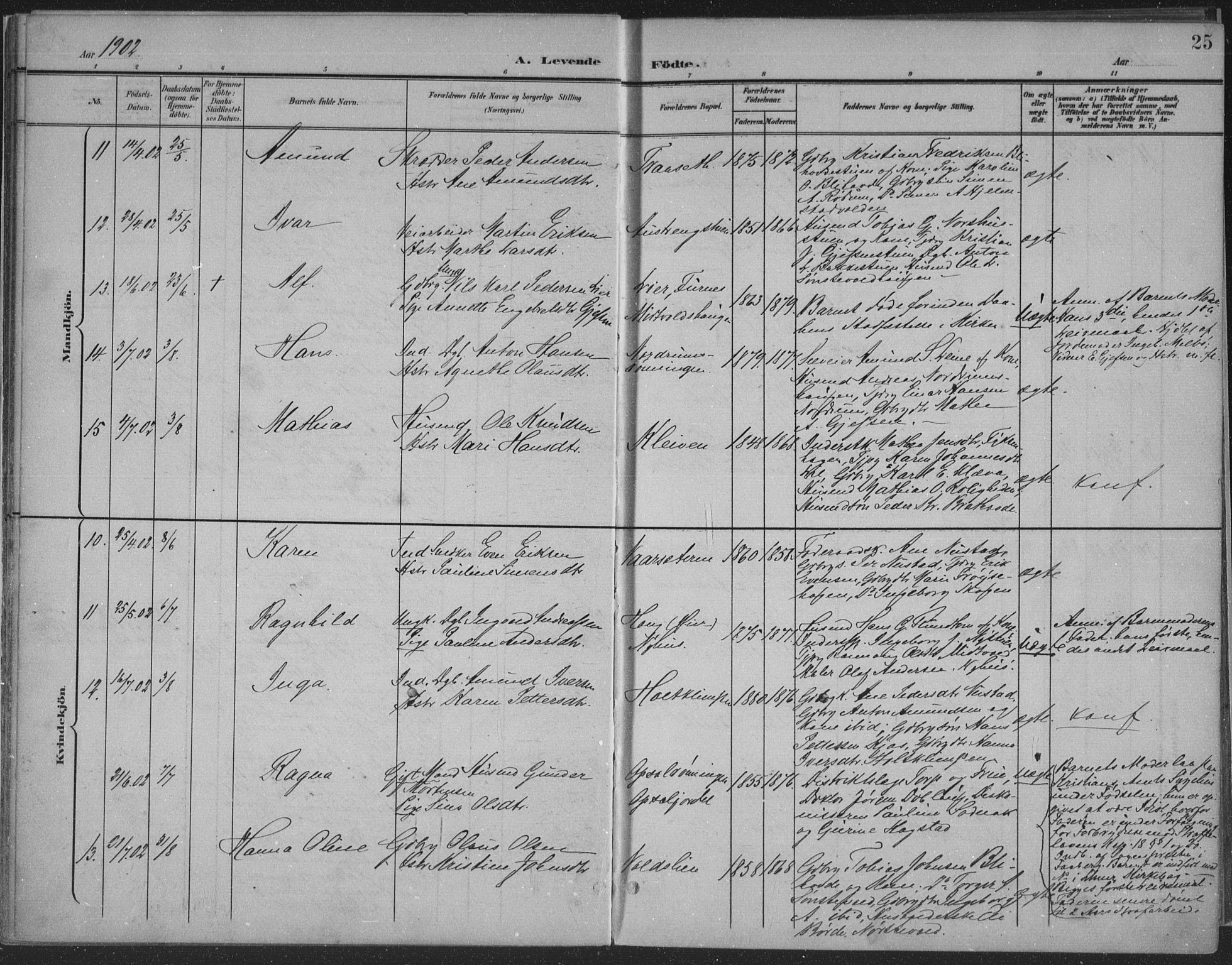 Østre Gausdal prestekontor, AV/SAH-PREST-092/H/Ha/Haa/L0004: Parish register (official) no. 4, 1898-1914, p. 25