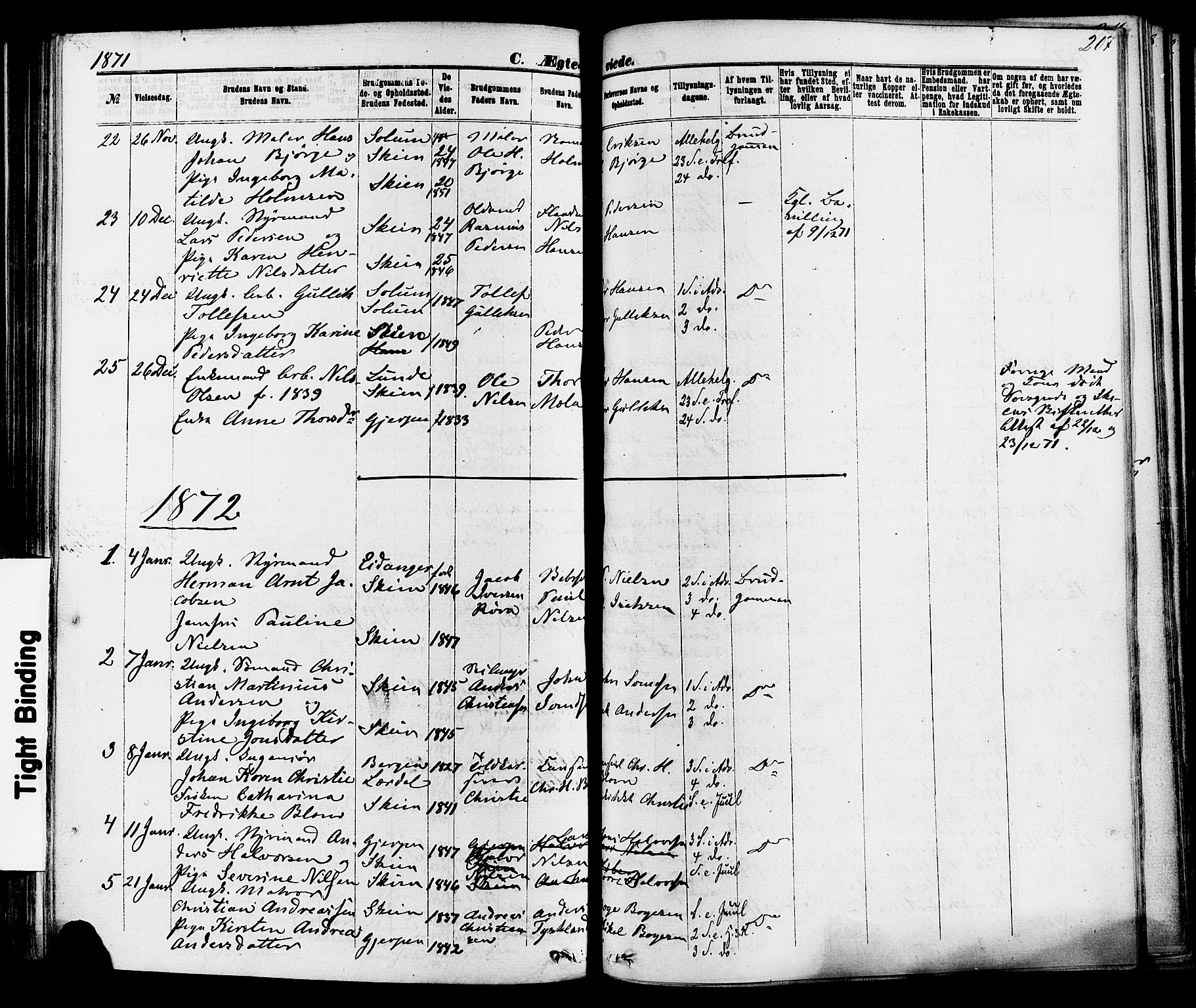 Skien kirkebøker, SAKO/A-302/F/Fa/L0008: Parish register (official) no. 8, 1866-1877, p. 207