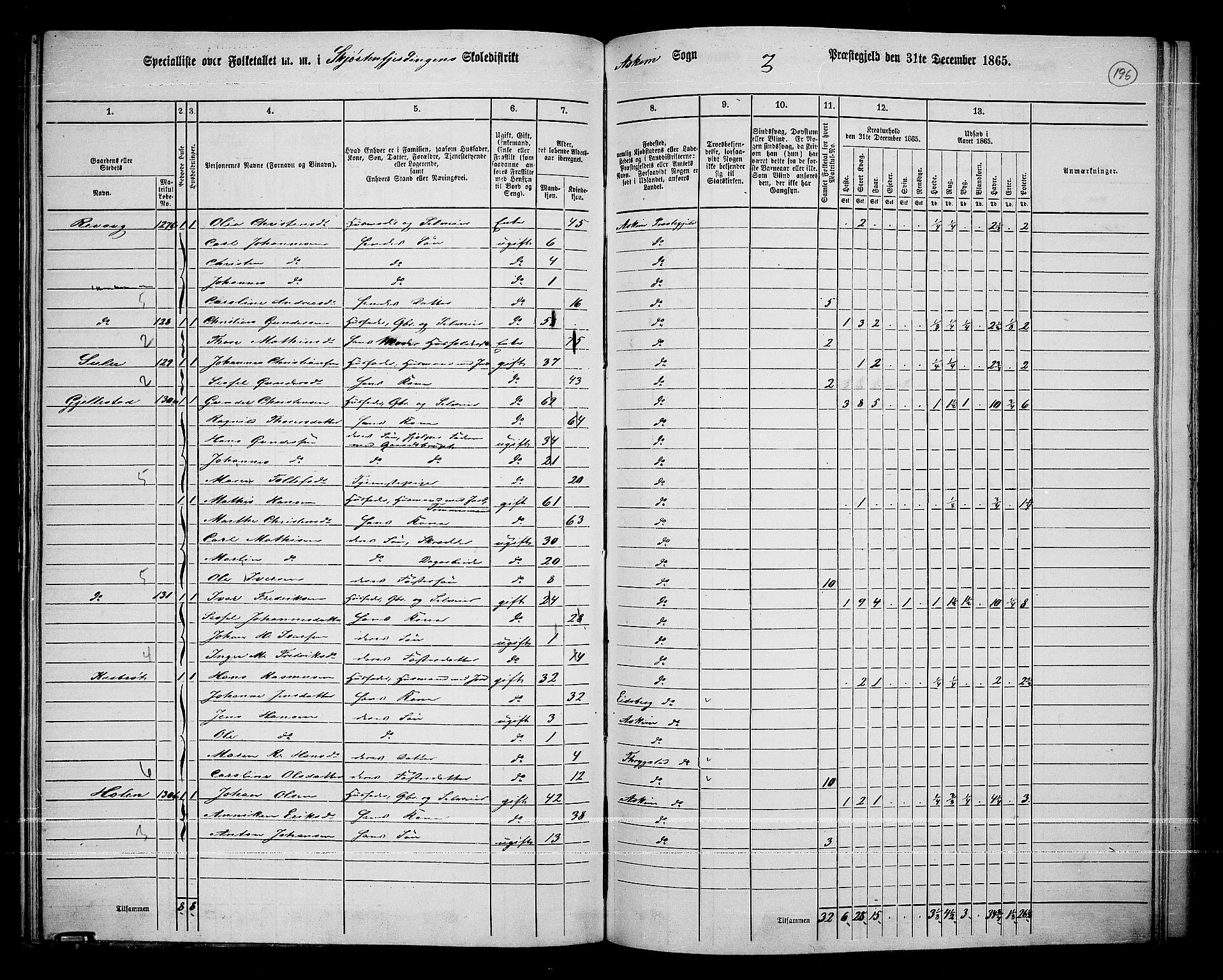 RA, 1865 census for Askim, 1865, p. 56