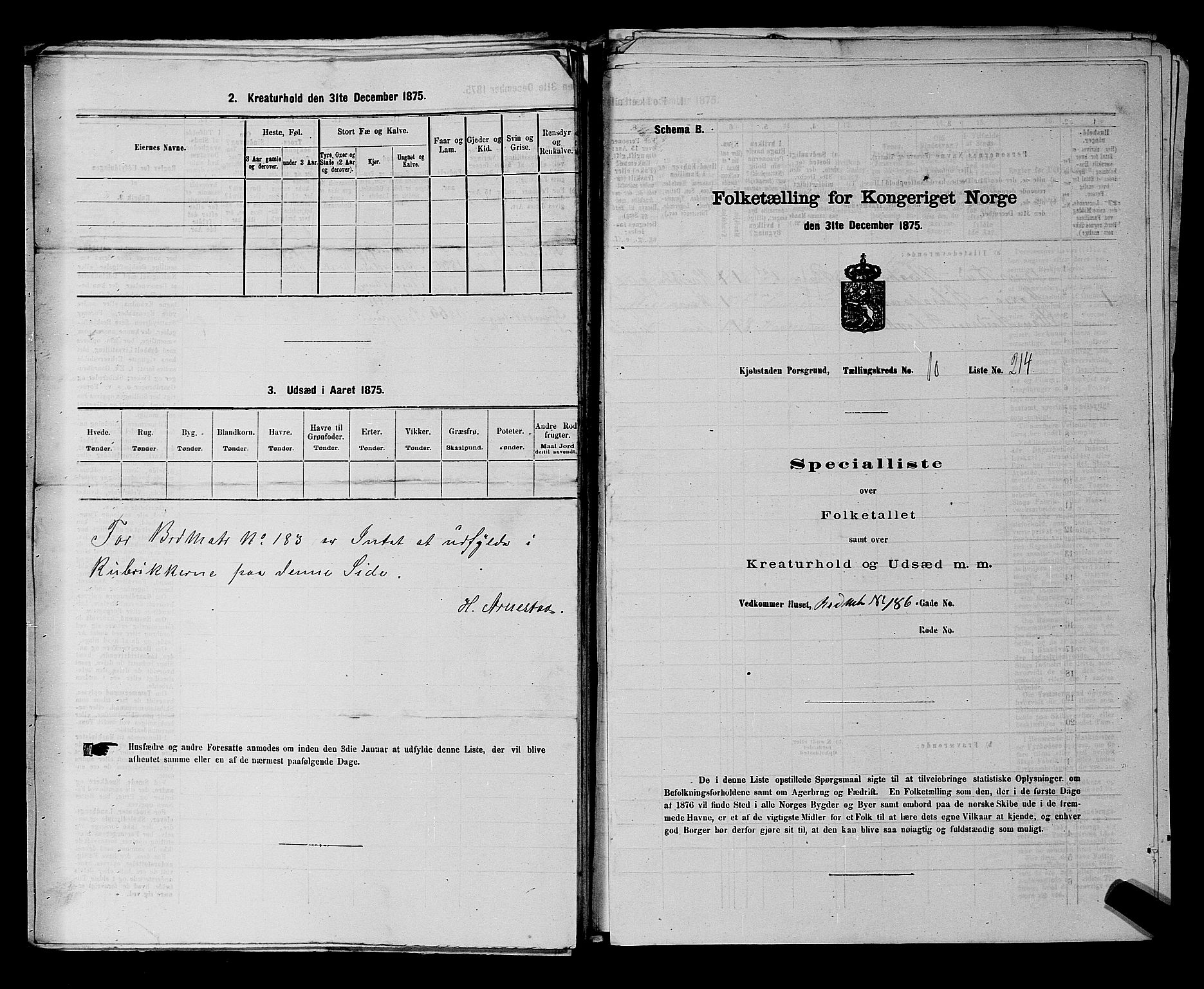 SAKO, 1875 census for 0805P Porsgrunn, 1875, p. 494