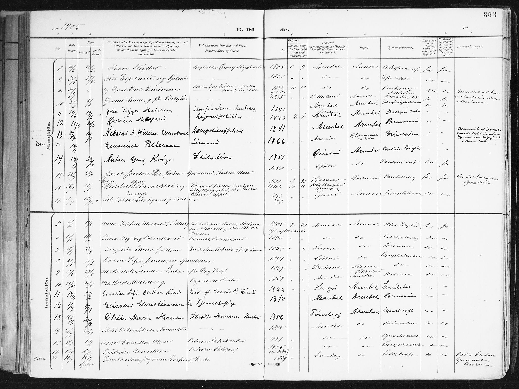 Arendal sokneprestkontor, Trefoldighet, SAK/1111-0040/F/Fa/L0010: Parish register (official) no. A 10, 1900-1919, p. 363
