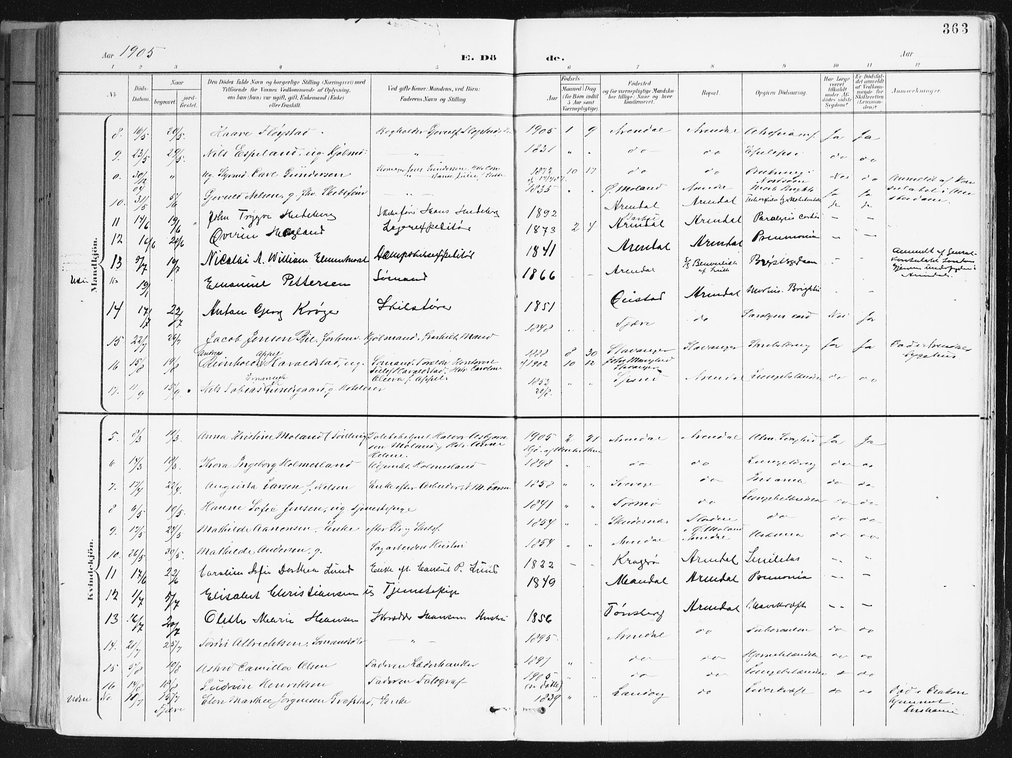 Arendal sokneprestkontor, Trefoldighet, AV/SAK-1111-0040/F/Fa/L0010: Parish register (official) no. A 10, 1900-1919, p. 363