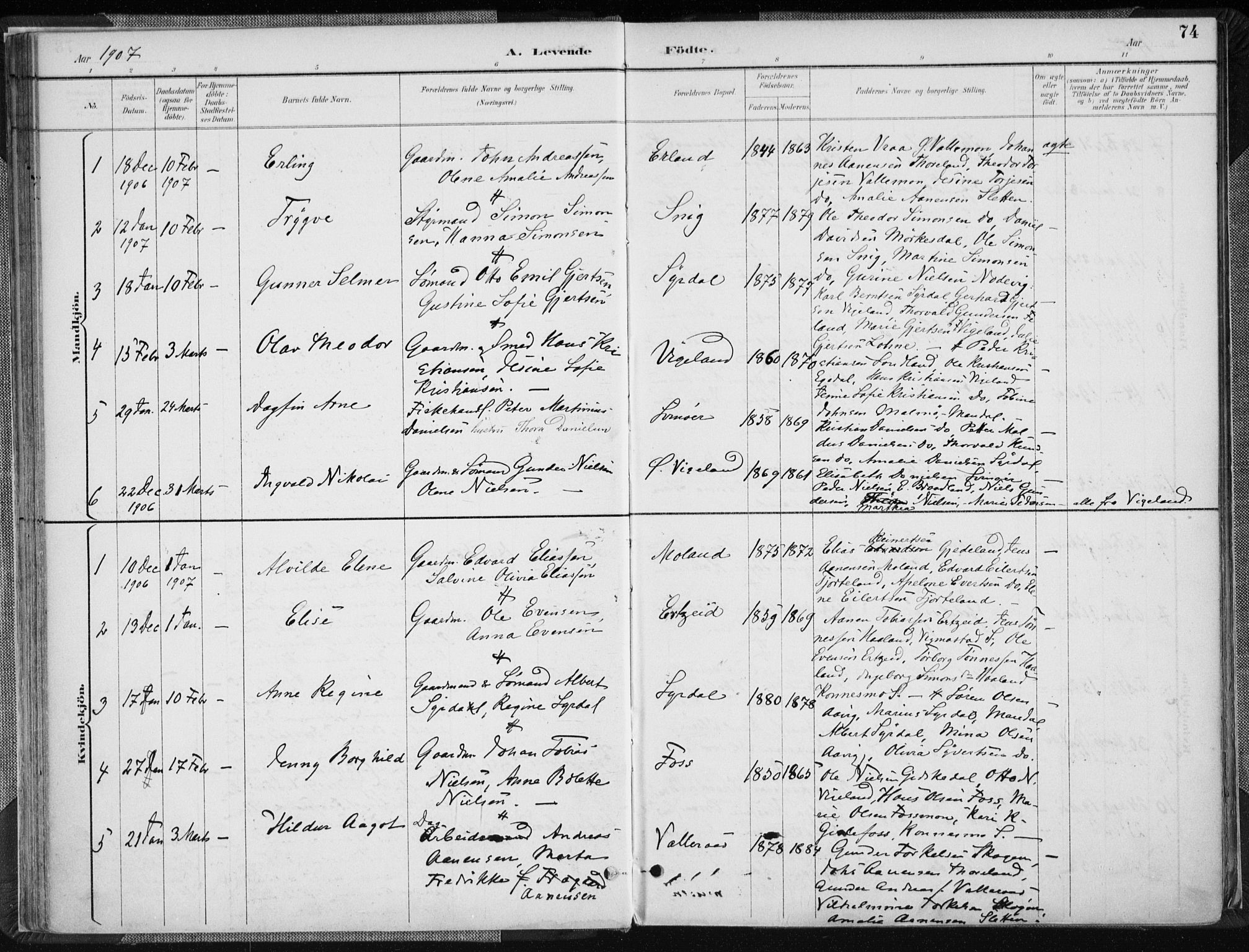 Sør-Audnedal sokneprestkontor, AV/SAK-1111-0039/F/Fa/Fab/L0010: Parish register (official) no. A 10, 1892-1913, p. 74