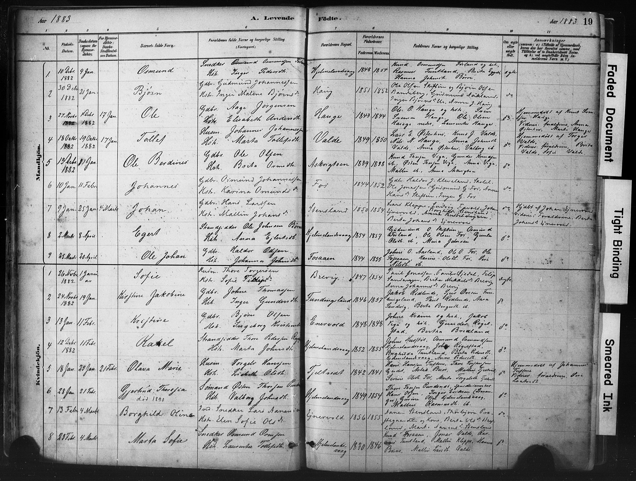 Hjelmeland sokneprestkontor, AV/SAST-A-101843/01/IV/L0014: Parish register (official) no. A 14, 1879-1900, p. 19