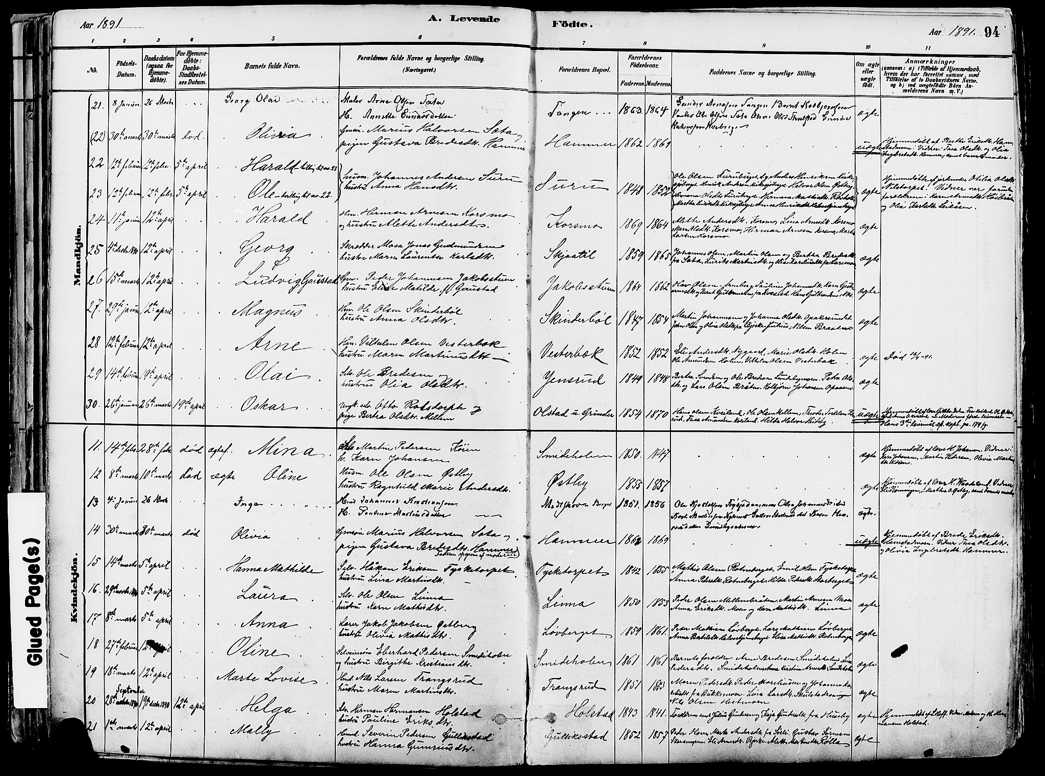 Grue prestekontor, AV/SAH-PREST-036/H/Ha/Haa/L0012: Parish register (official) no. 12, 1881-1897, p. 94