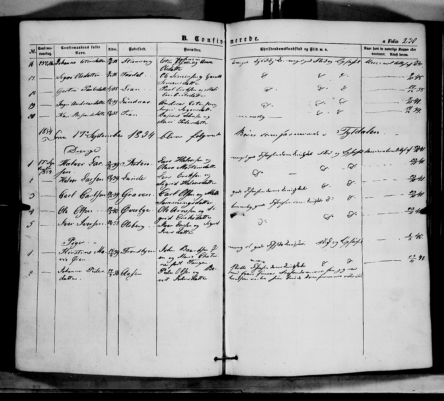 Tynset prestekontor, SAH/PREST-058/H/Ha/Haa/L0020: Parish register (official) no. 20, 1848-1862, p. 230