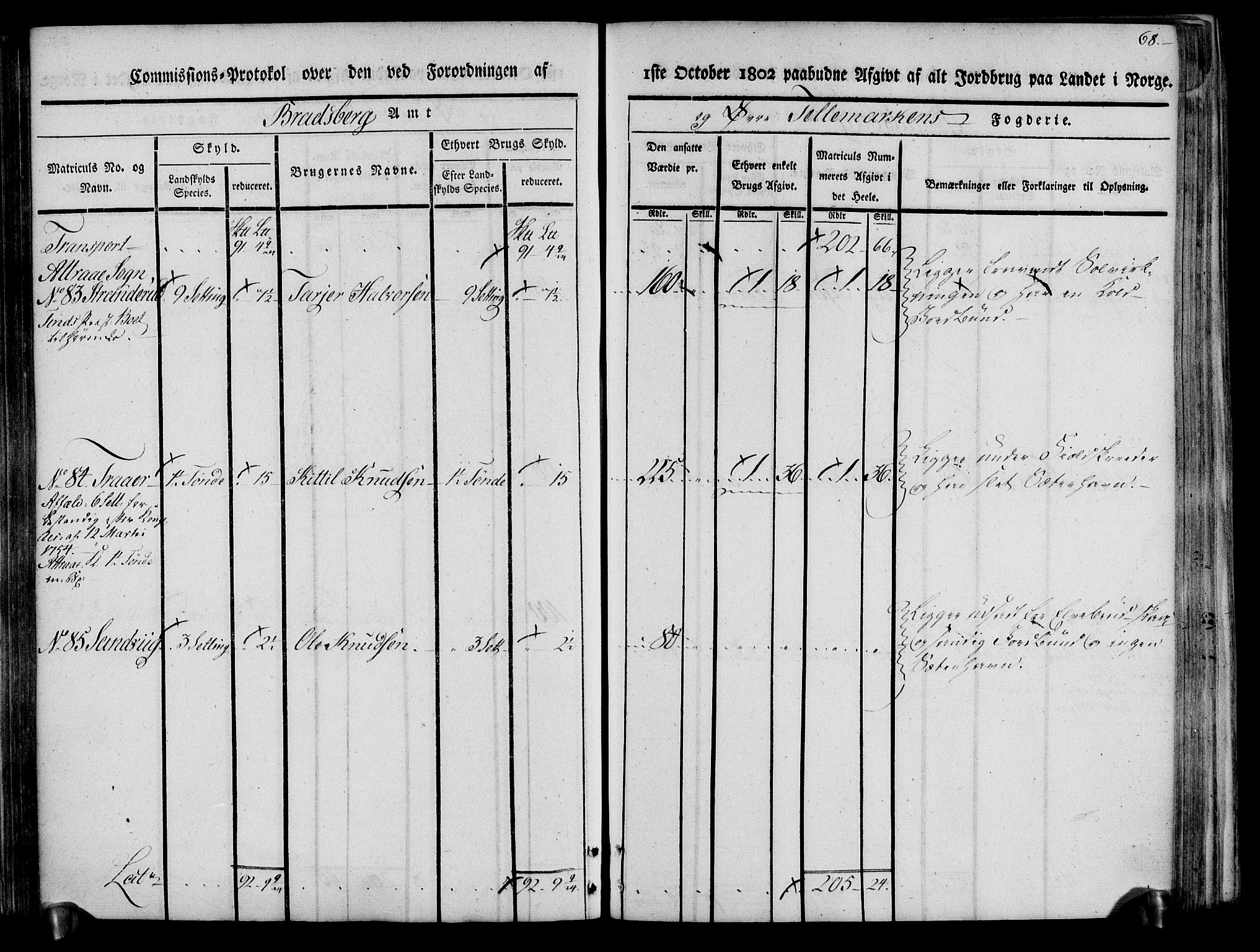 Rentekammeret inntil 1814, Realistisk ordnet avdeling, AV/RA-EA-4070/N/Ne/Nea/L0074: Øvre Telemarken fogderi. Kommisjonsprotokoll for fogderiets østre del - Tinn, Hjartdal og Seljord prestegjeld., 1803, p. 68