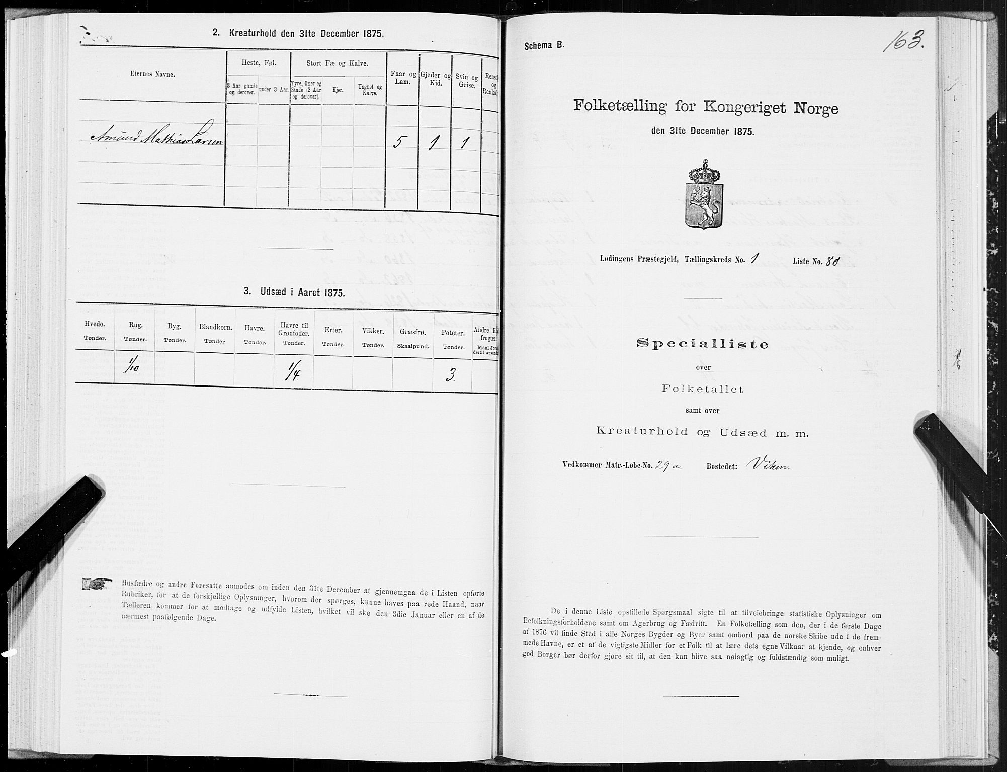 SAT, 1875 census for 1851P Lødingen, 1875, p. 1163