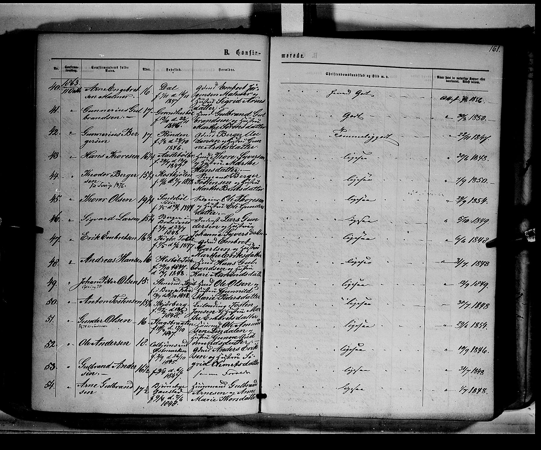 Eidskog prestekontor, AV/SAH-PREST-026/H/Ha/Haa/L0001: Parish register (official) no. 1, 1860-1867, p. 161