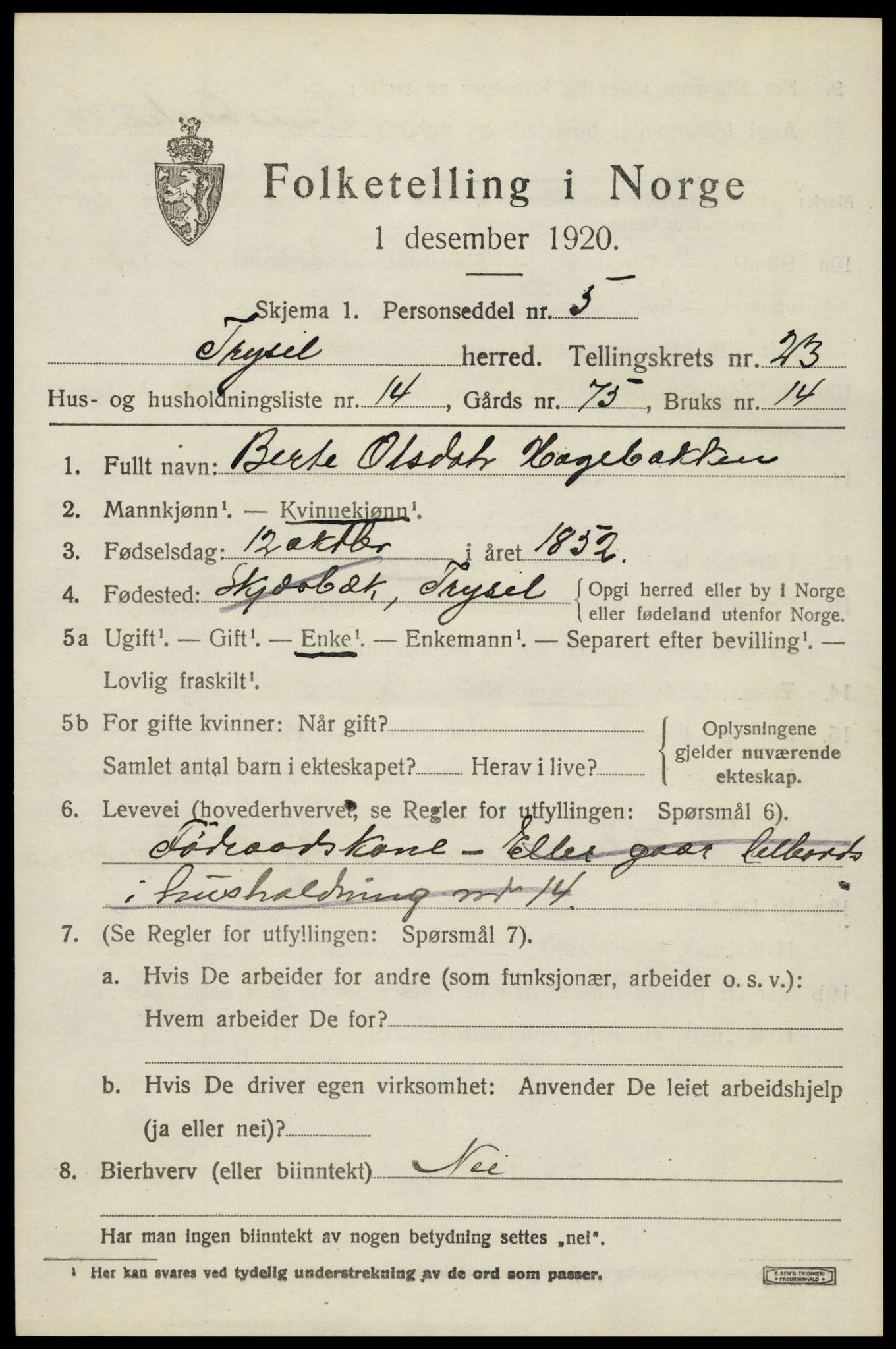 SAH, 1920 census for Trysil, 1920, p. 15001