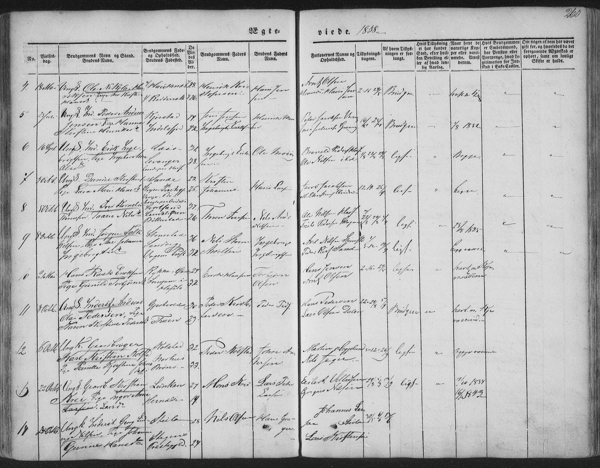 Ministerialprotokoller, klokkerbøker og fødselsregistre - Nordland, AV/SAT-A-1459/888/L1241: Parish register (official) no. 888A07, 1849-1869, p. 260