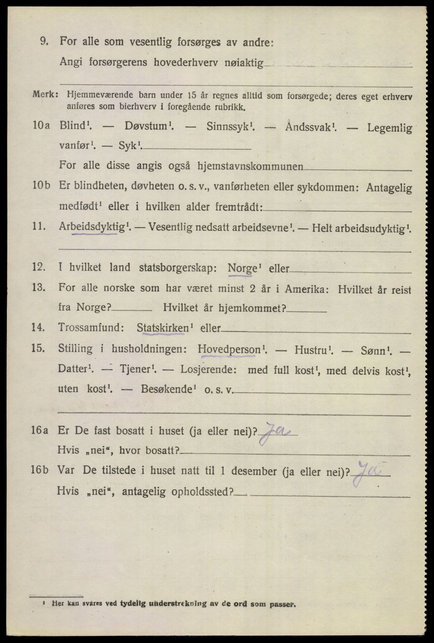 SAKO, 1920 census for Hol (Buskerud), 1920, p. 5304