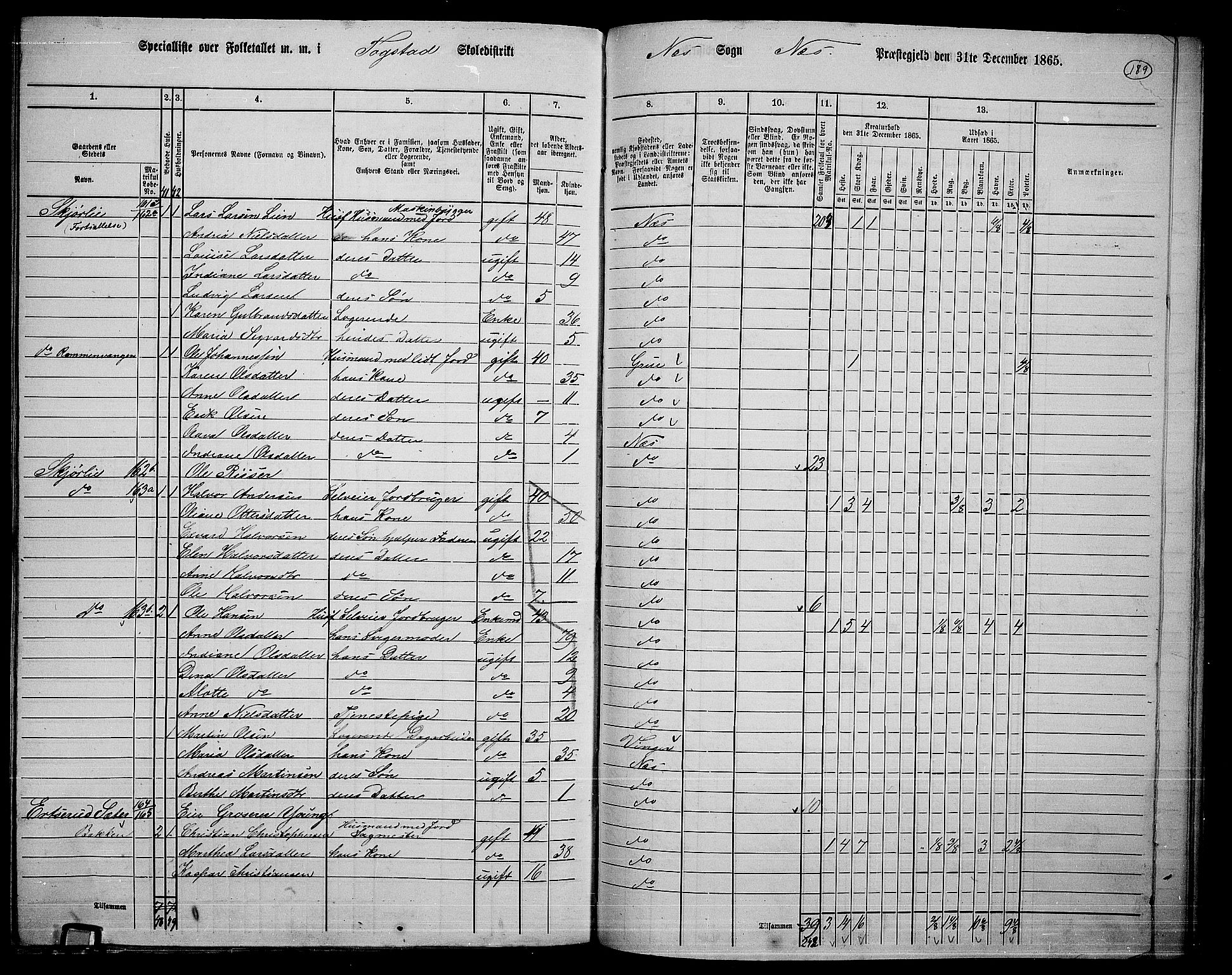 RA, 1865 census for Nes, 1865, p. 172