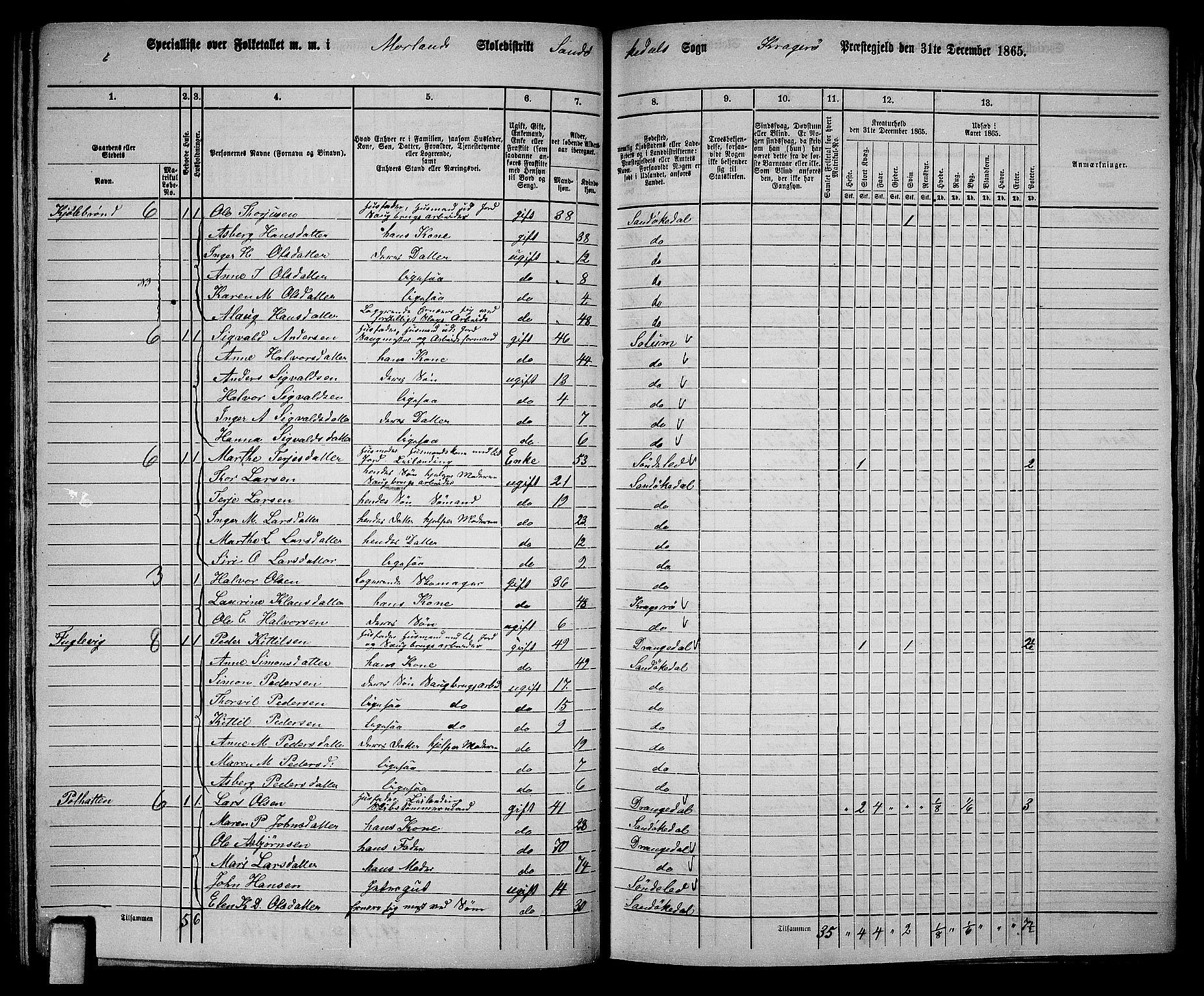 RA, 1865 census for Kragerø/Sannidal og Skåtøy, 1865, p. 70