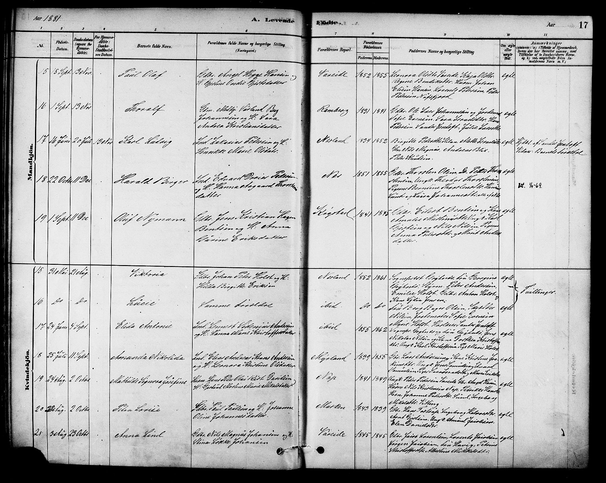 Ministerialprotokoller, klokkerbøker og fødselsregistre - Nordland, AV/SAT-A-1459/885/L1204: Parish register (official) no. 885A05, 1878-1892, p. 17