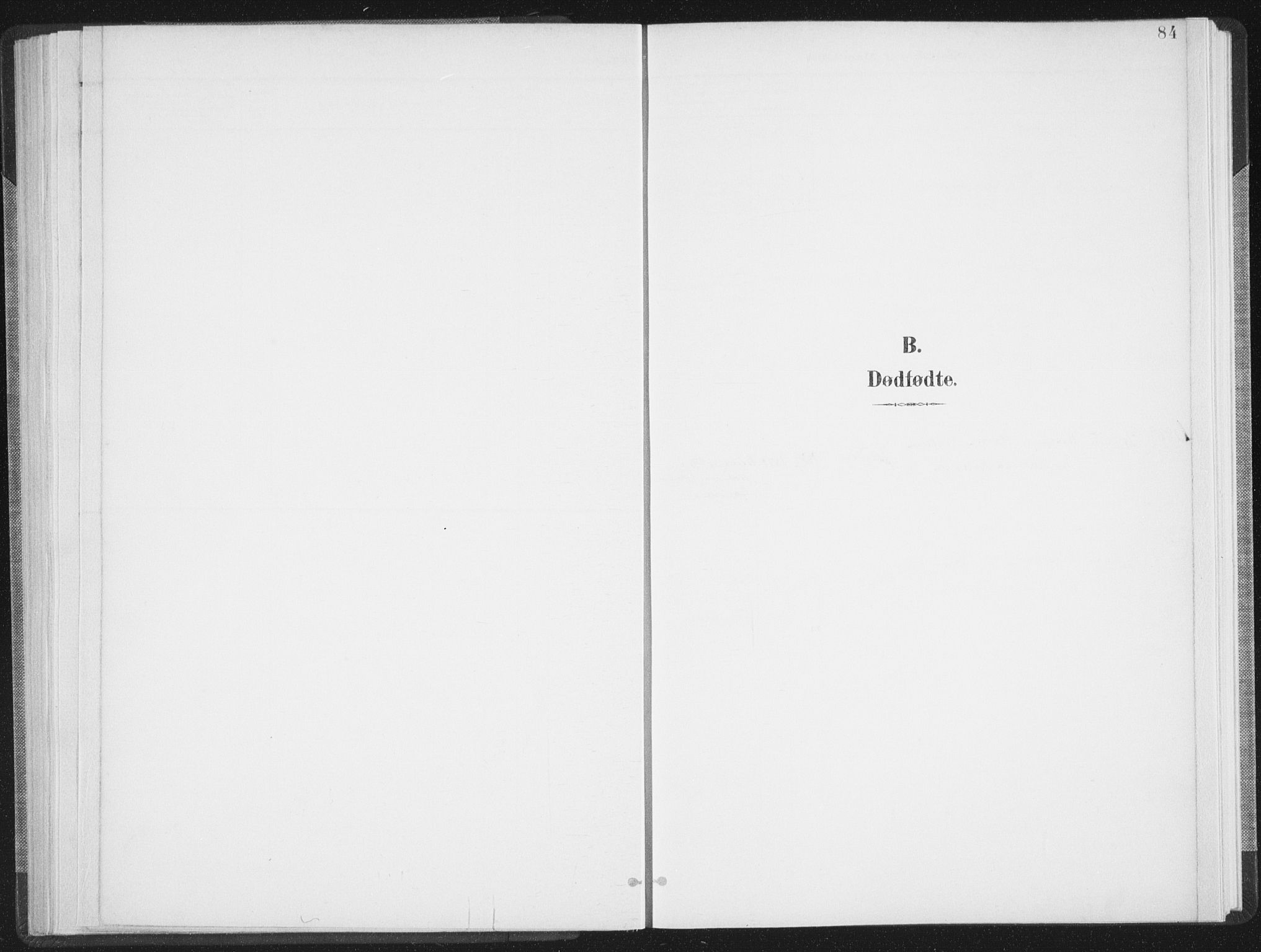 Ministerialprotokoller, klokkerbøker og fødselsregistre - Nordland, AV/SAT-A-1459/897/L1400: Parish register (official) no. 897A07, 1897-1908, p. 84