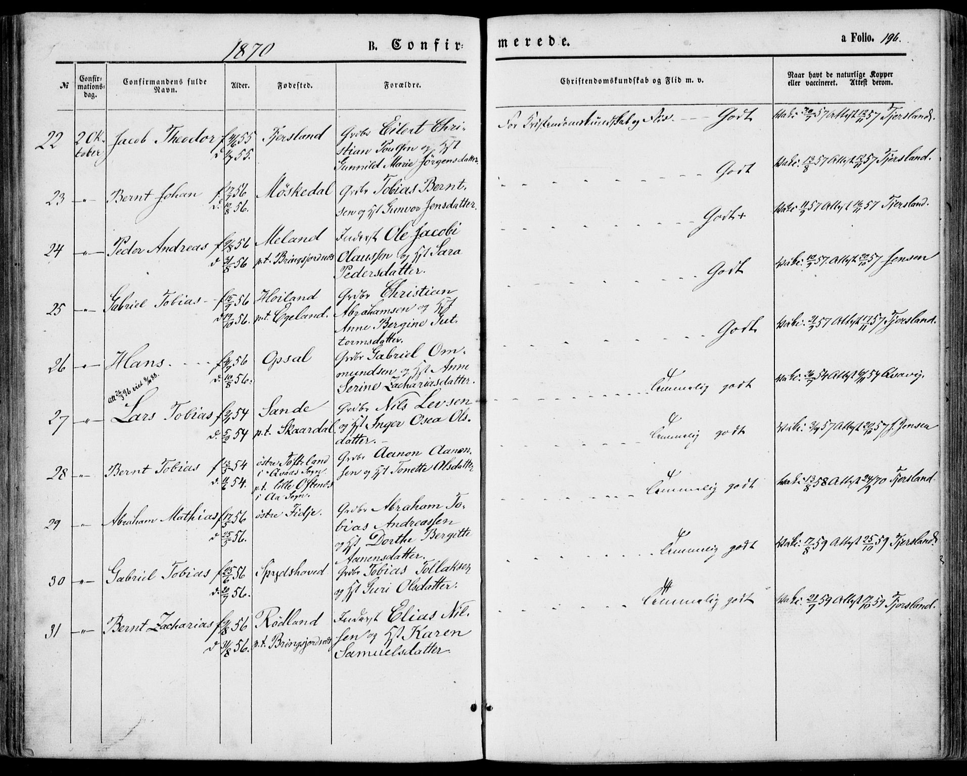 Lyngdal sokneprestkontor, SAK/1111-0029/F/Fa/Fac/L0010: Parish register (official) no. A 10, 1865-1878, p. 196