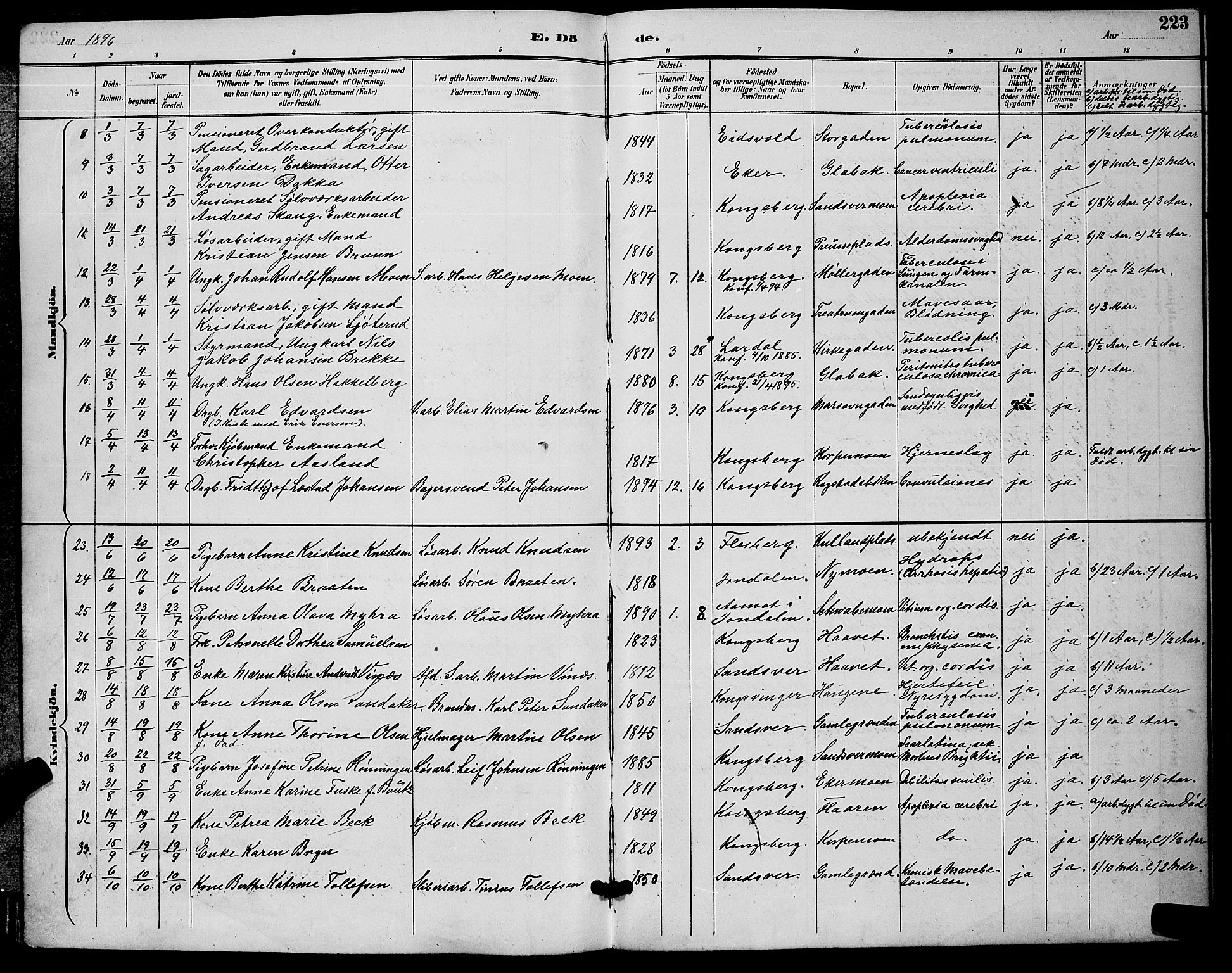 Kongsberg kirkebøker, AV/SAKO-A-22/G/Ga/L0006: Parish register (copy) no. 6, 1890-1901, p. 223