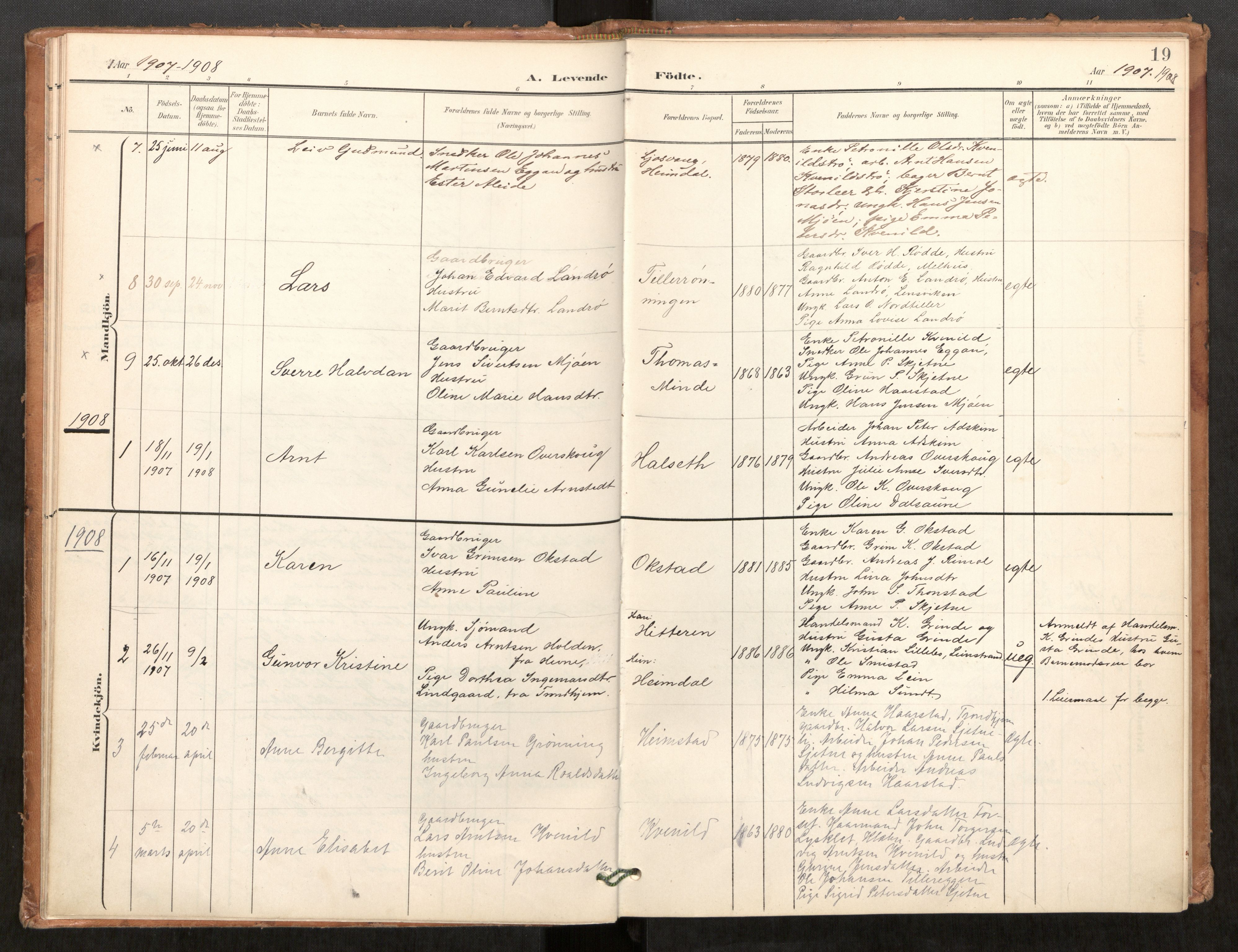 Klæbu sokneprestkontor, SAT/A-1112: Parish register (official) no. 2, 1900-1916, p. 19