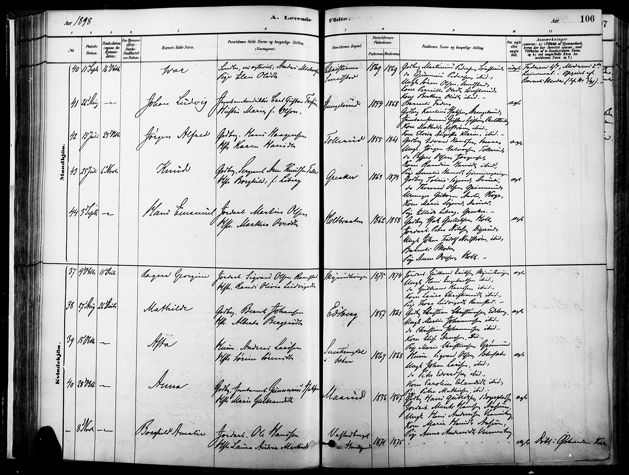 Vinger prestekontor, AV/SAH-PREST-024/H/Ha/Haa/L0014: Parish register (official) no. 14, 1881-1900, p. 106