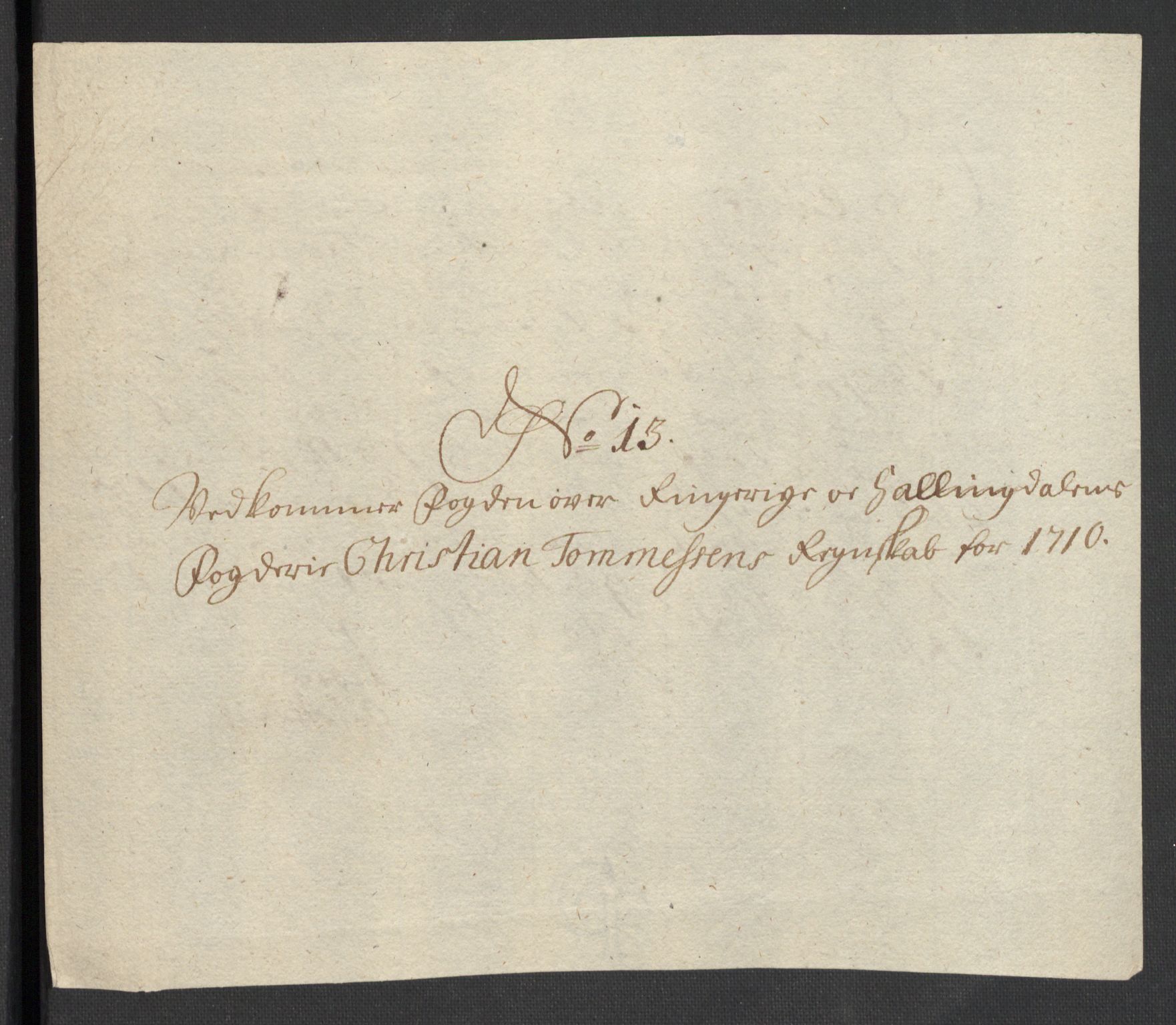 Rentekammeret inntil 1814, Reviderte regnskaper, Fogderegnskap, AV/RA-EA-4092/R23/L1468: Fogderegnskap Ringerike og Hallingdal, 1709-1710, p. 429