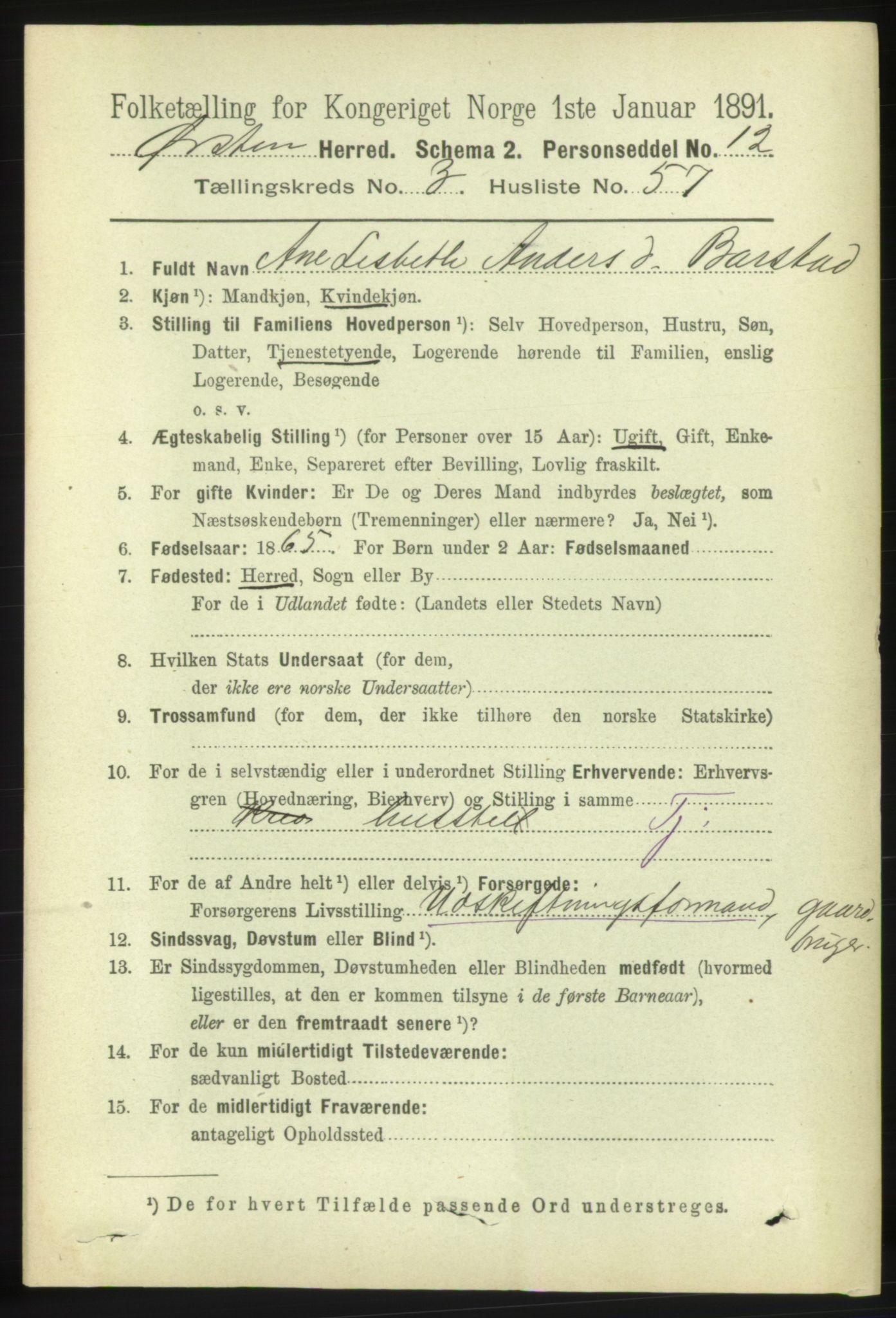 RA, 1891 census for 1520 Ørsta, 1891, p. 1576