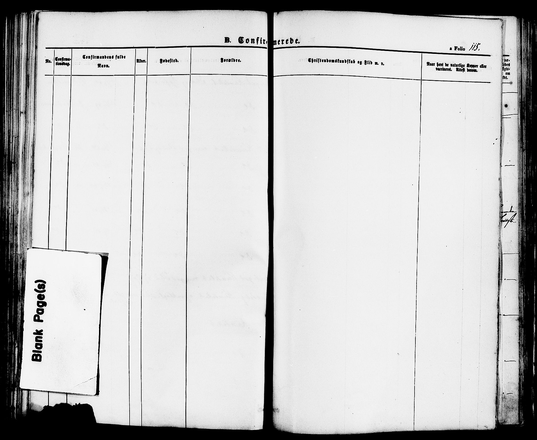 Finnøy sokneprestkontor, AV/SAST-A-101825/H/Ha/Haa/L0008: Parish register (official) no. A 8, 1863-1878, p. 115